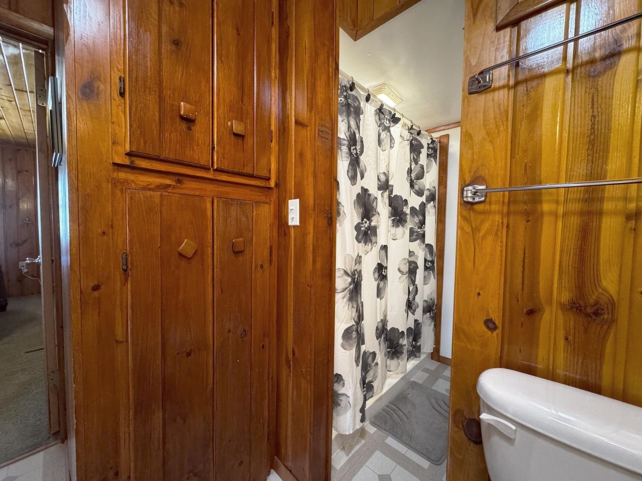 3165 Randa Rd Cook MN 55771 - Vermilion 6119229 image52