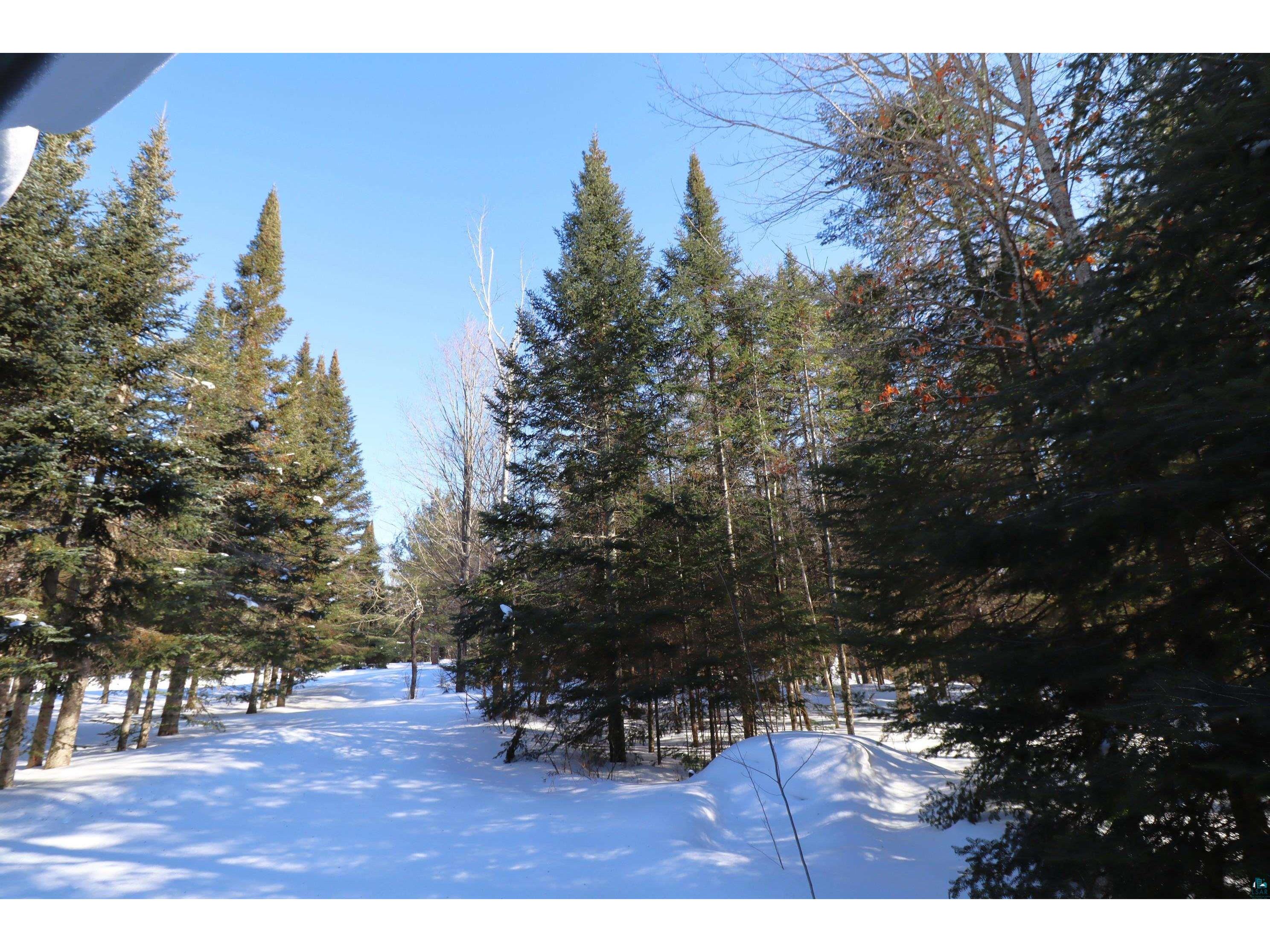 31715 Star Route Rd Bayfield WI 54814 6123569 image83