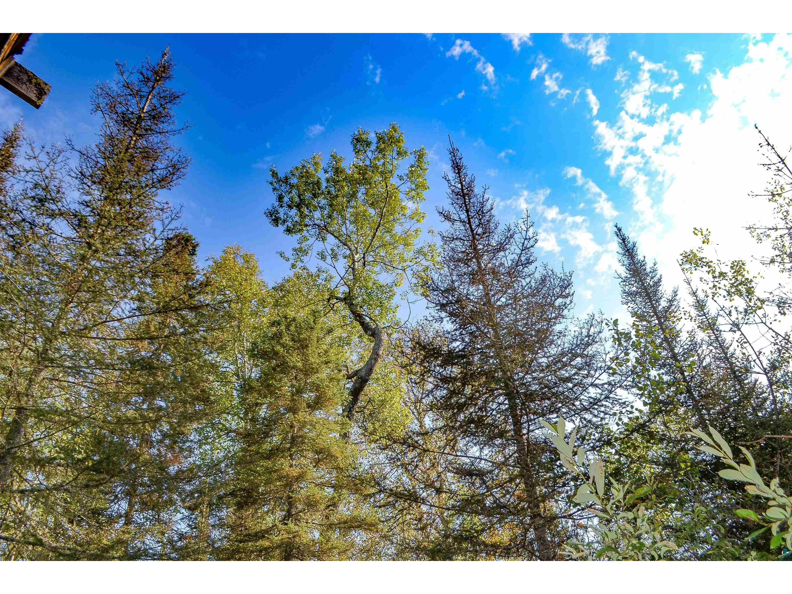 320 N Caps Tr Lutsen MN 55612 - Tait 6116121 image1