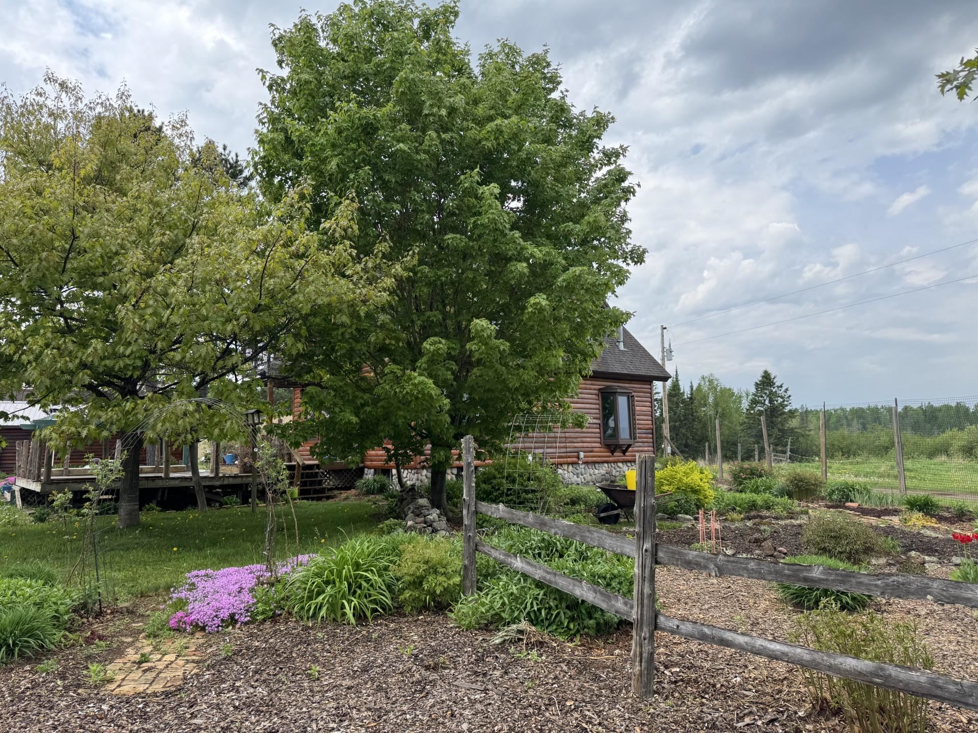 3213 E Alger Grade Two Harbors MN 55616 6119160 image38