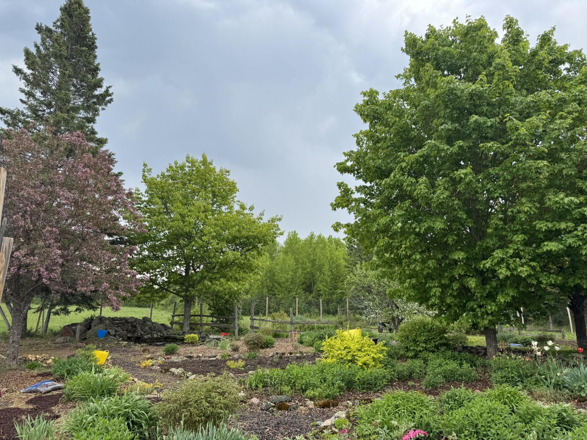 3213 E Alger Grade Two Harbors MN 55616 6119160 image40