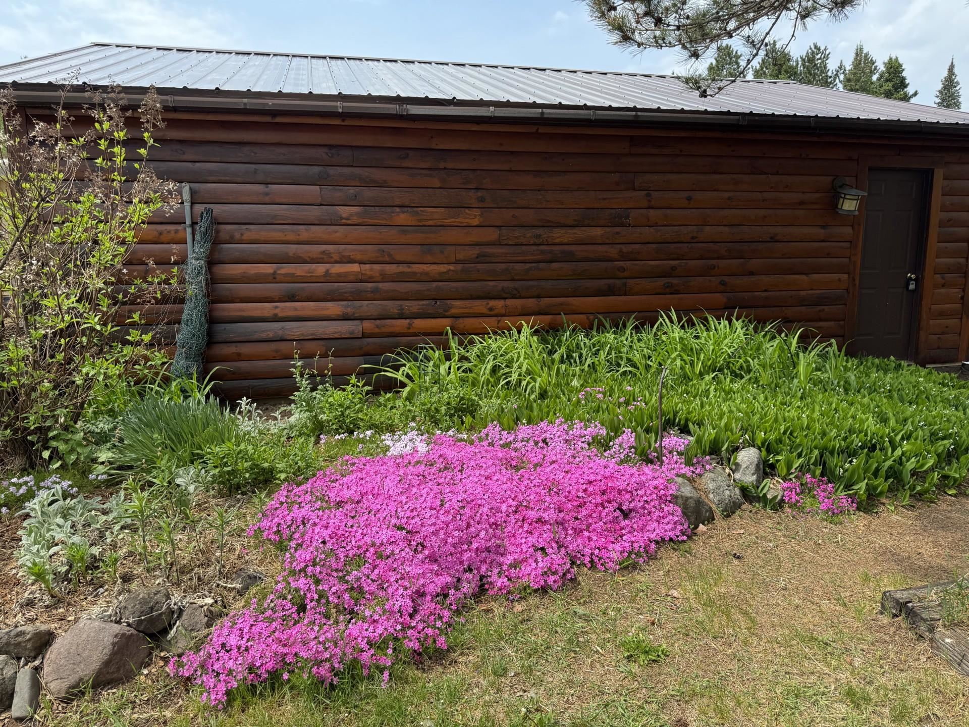 3213 E Alger Grade Two Harbors MN 55616 6119160 image45