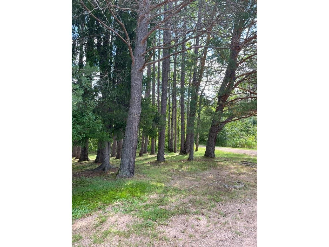 3215 County Rd 904 Babbitt MN 55706 6121650 image35