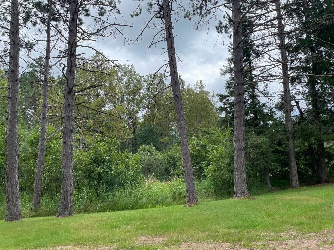 3215 County Rd 904 Babbitt MN 55706 6121650 image36