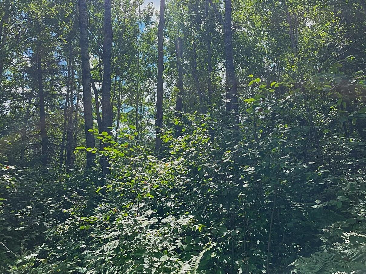 3215 County Rd 904 Babbitt MN 55706 6121650 image37