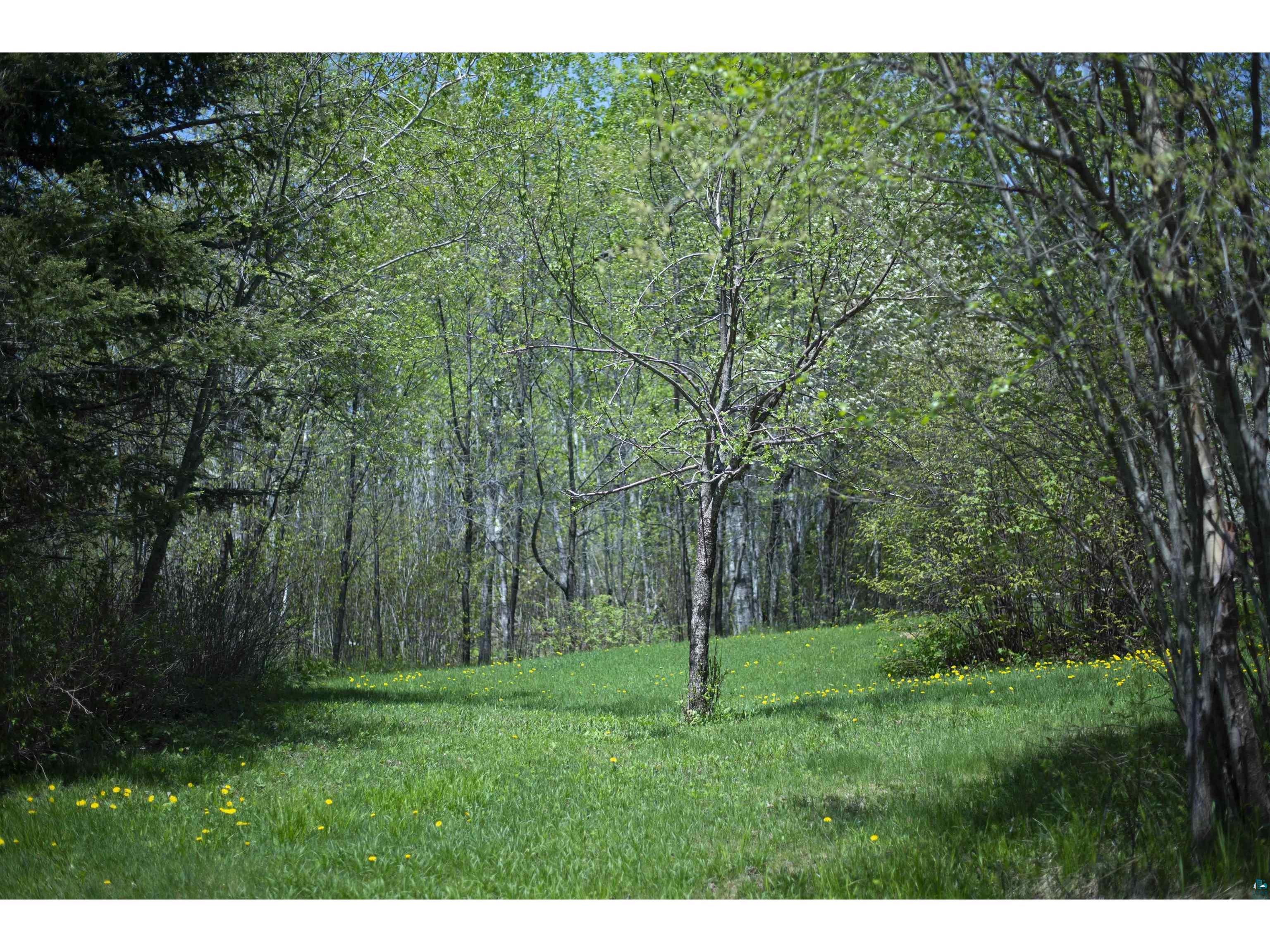 322 County Rd 14 Grand Marais MN 55604 6125472 image57