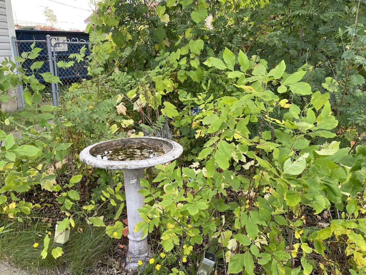 324 S 4th Ave E Ely MN 55731 6122204 image39