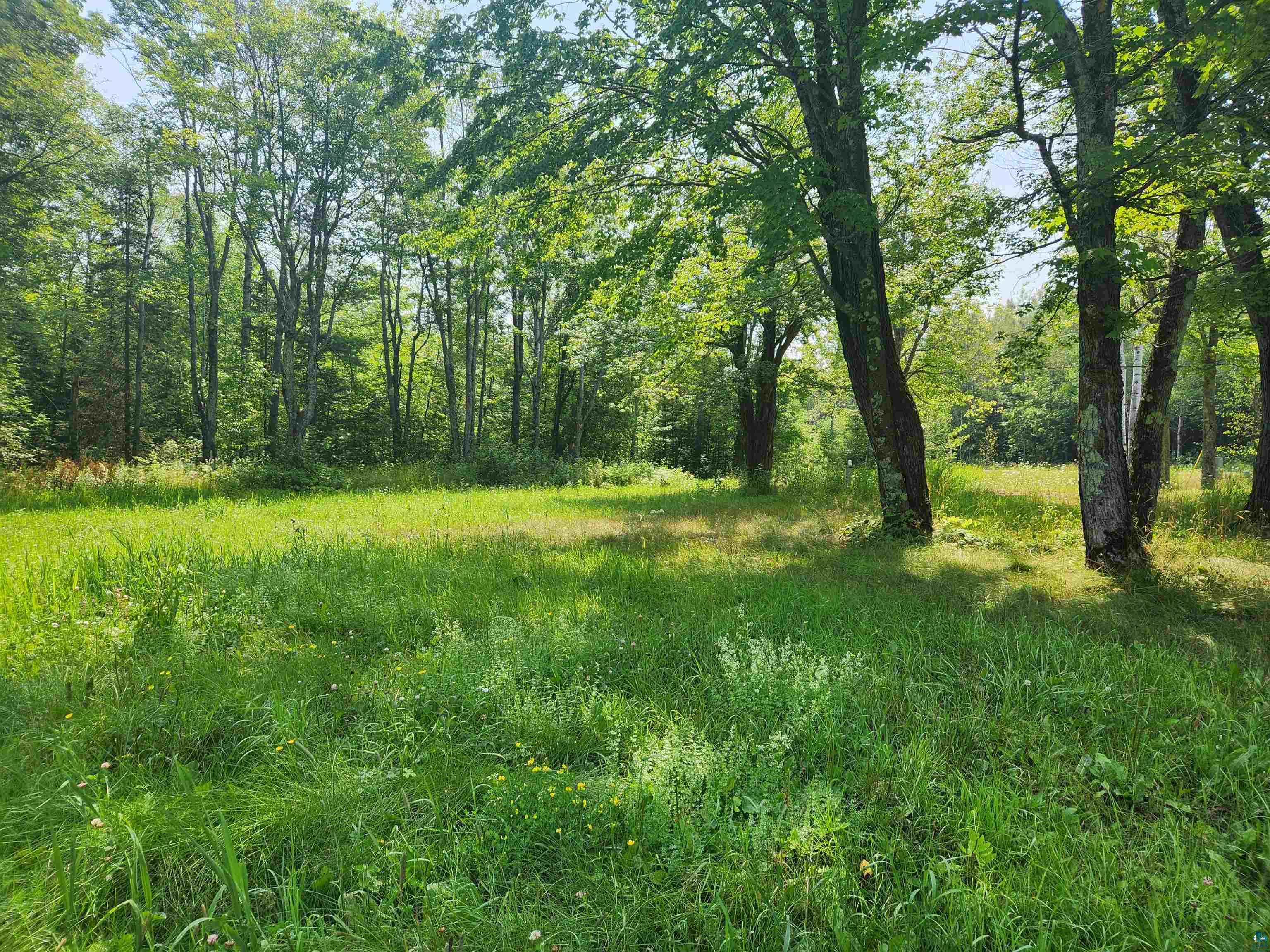 32460 Hwy 13 Bayfield WI 54814 6110187 image1