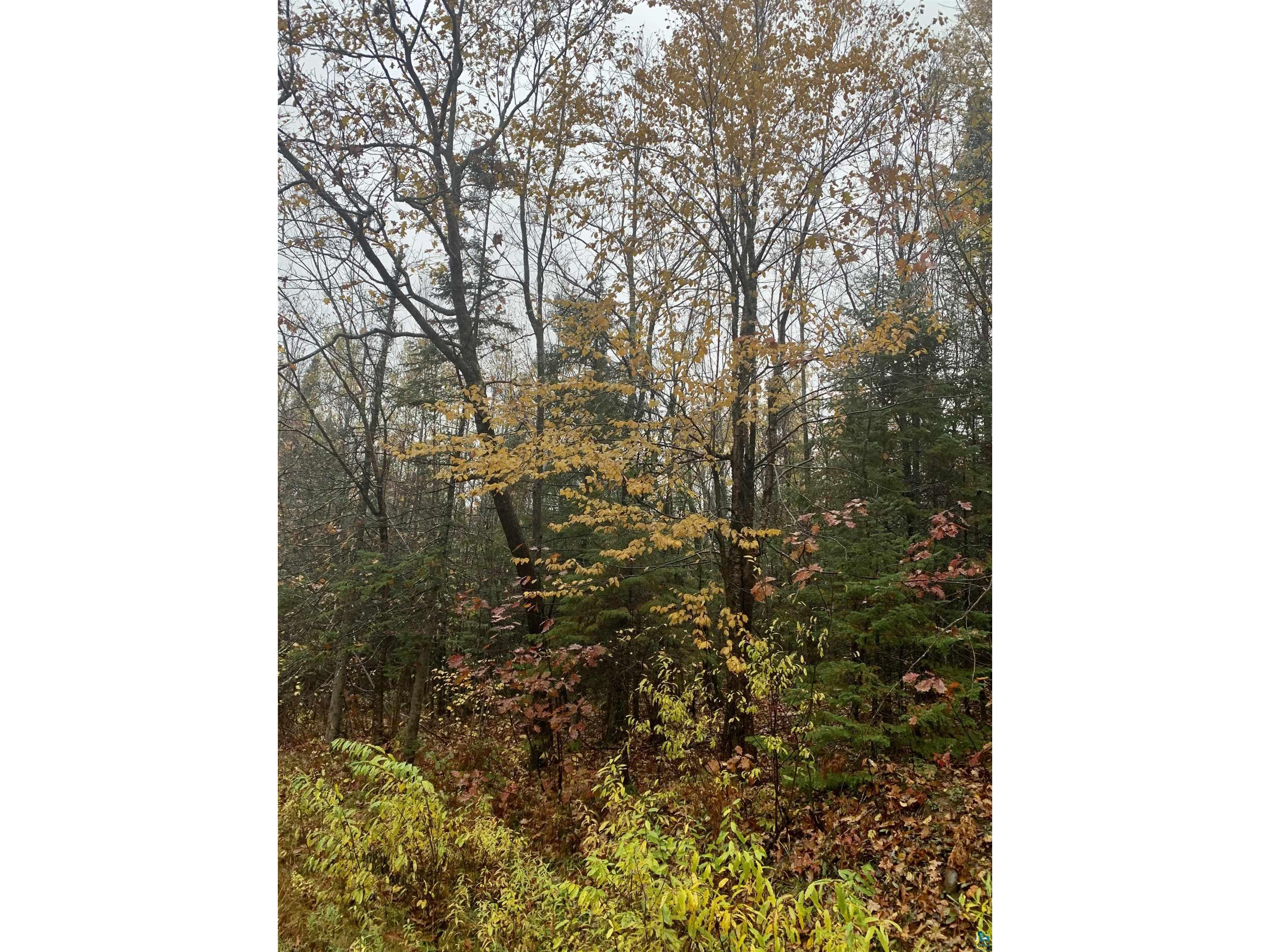 32582 Lake Caroline Rd Mellen WI 54546 6111197 image1