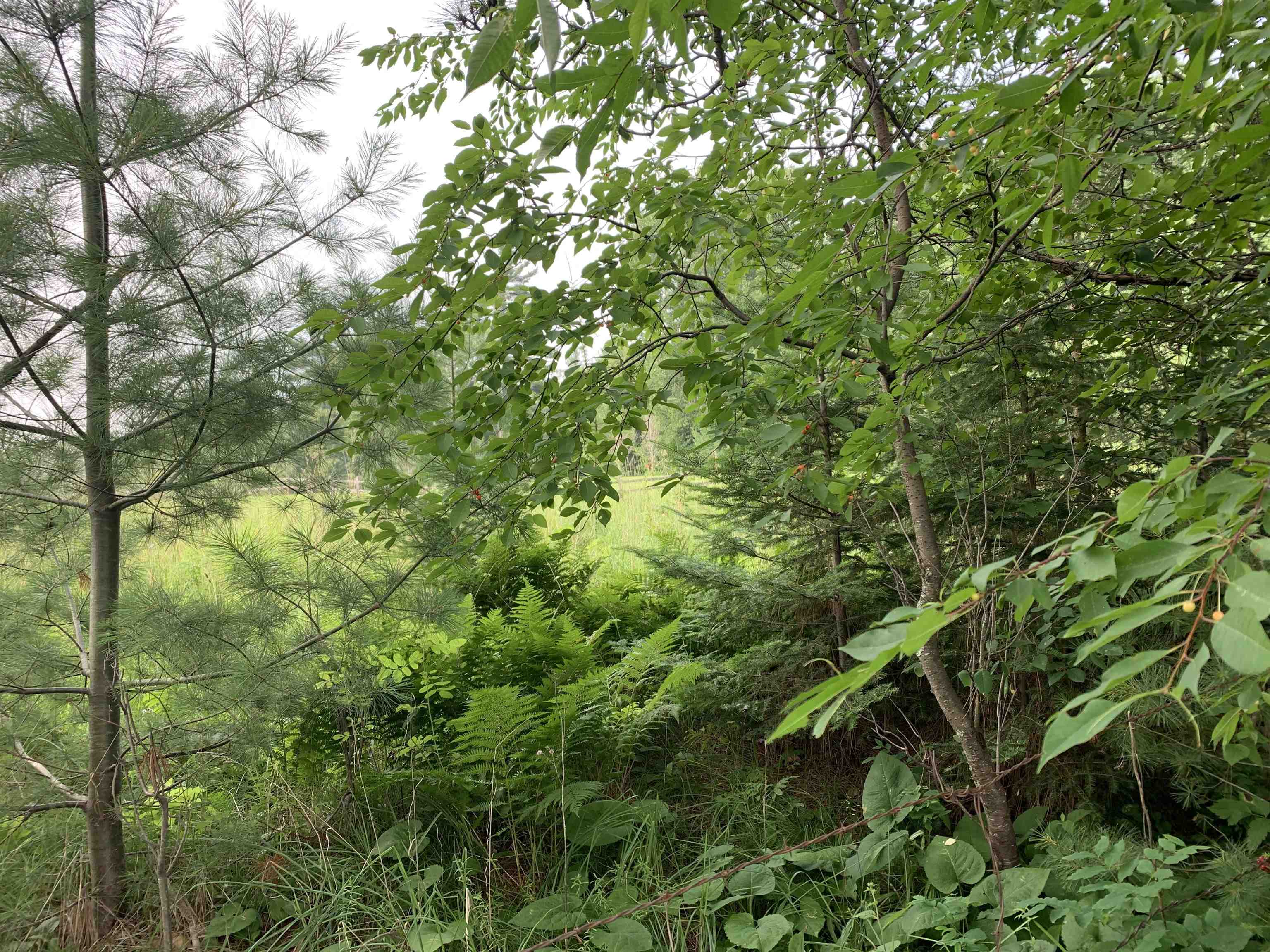 3277 Highway 210 Sawyer MN 55720 6121081 image10