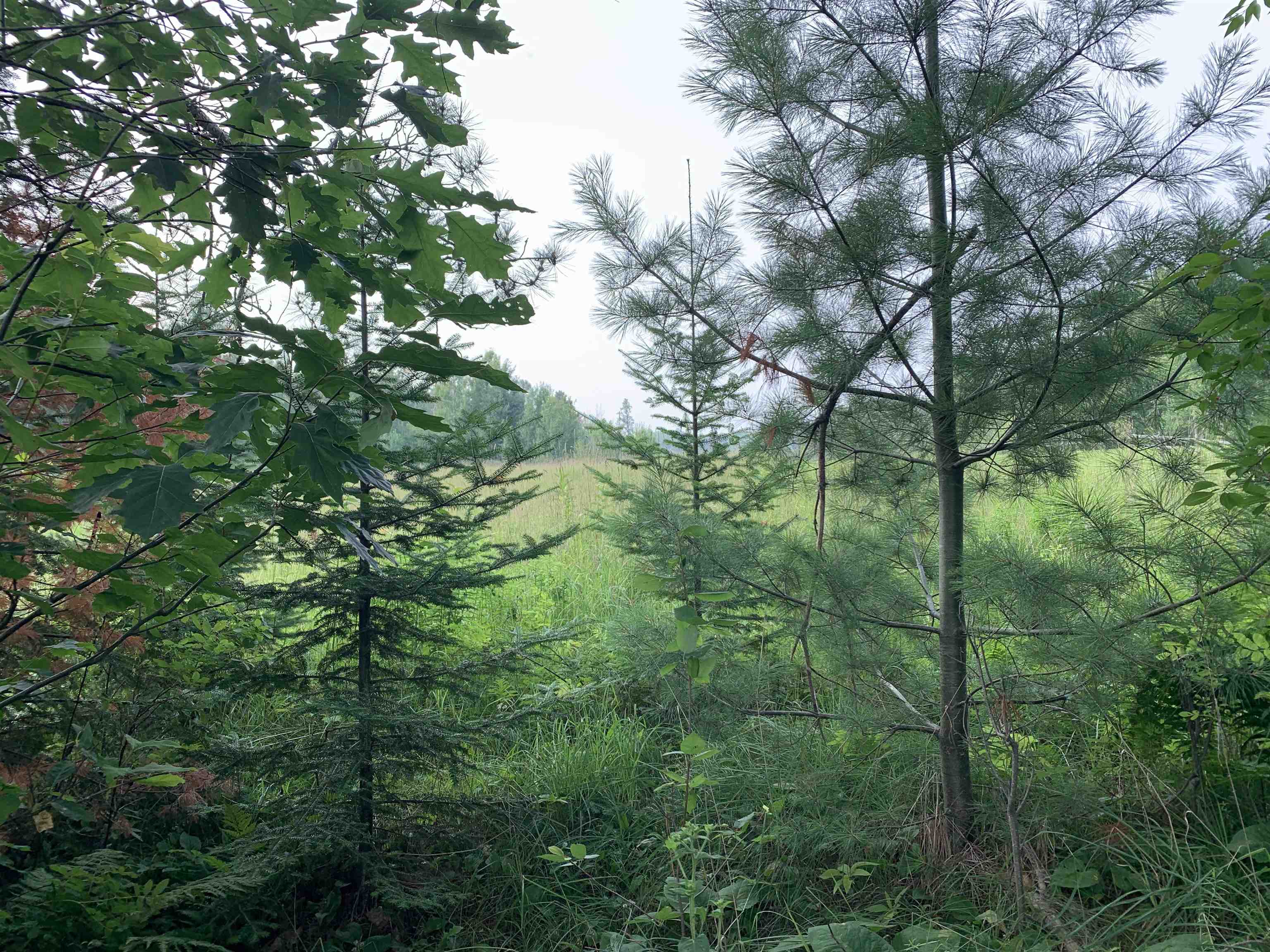 3277 Highway 210 Sawyer MN 55720 6121081 image38