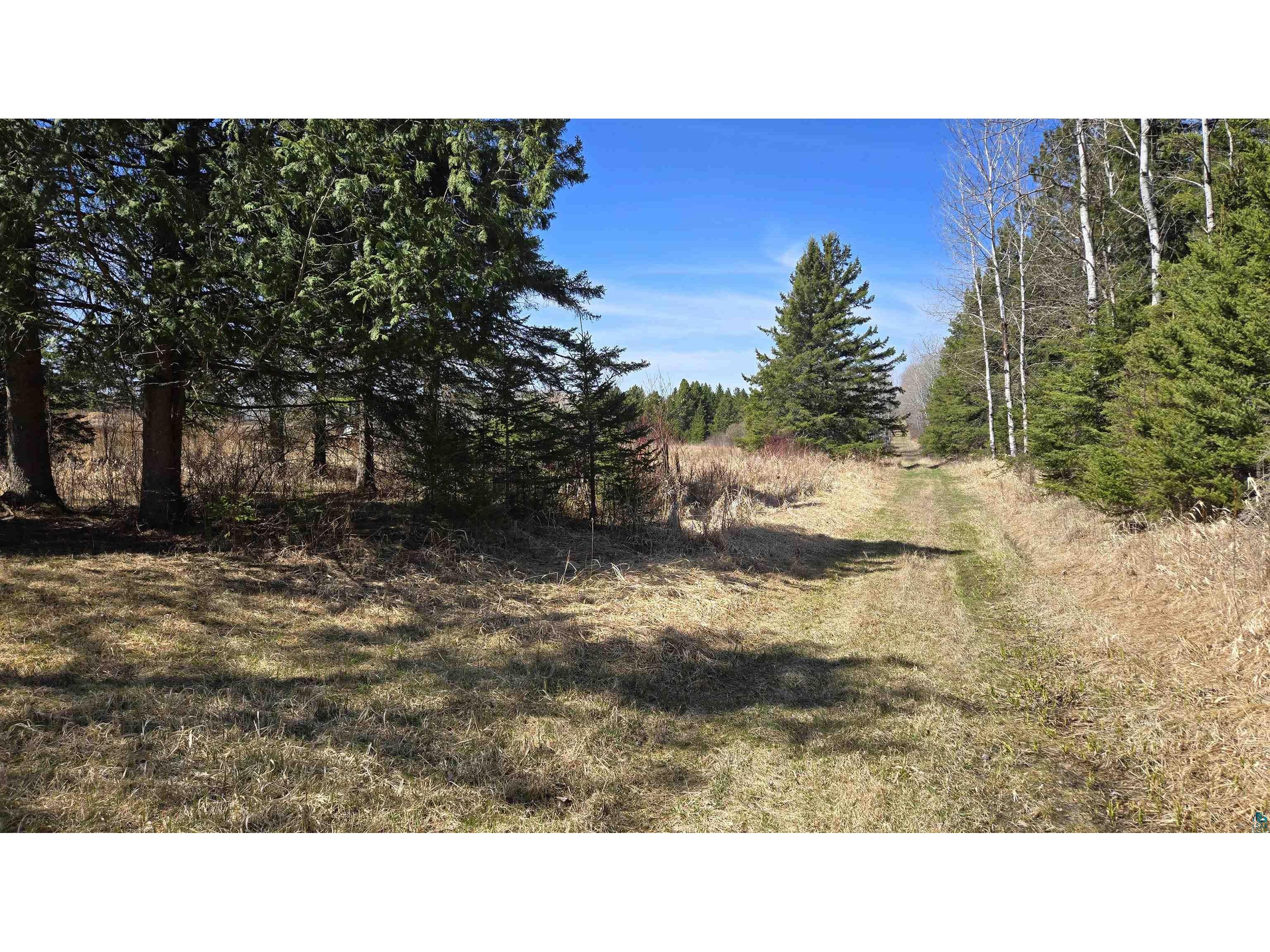 3293 Greaney Rd Orr MN 55771 6125182 image13