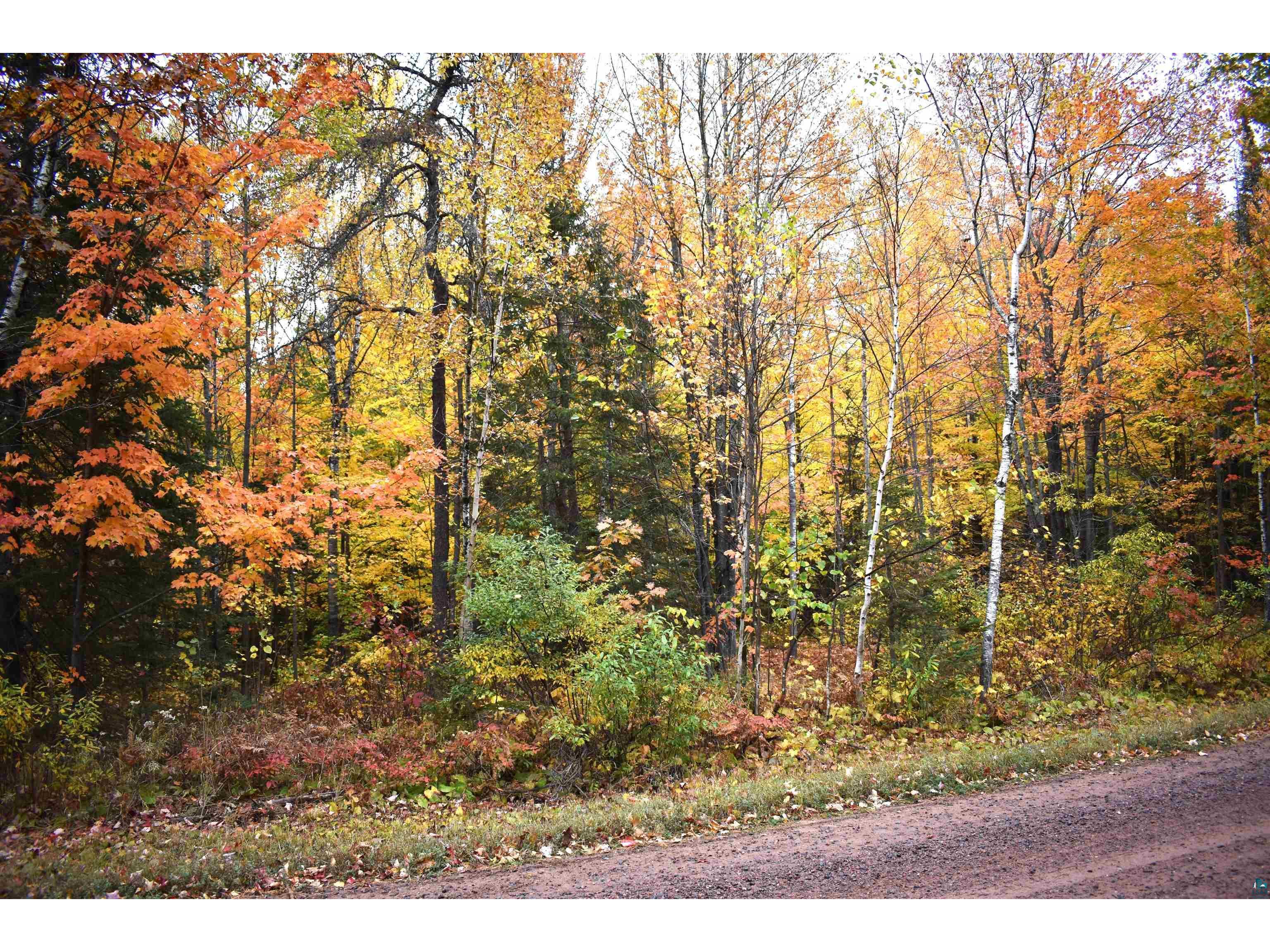 32XXX Burlager Rd Washburn WI 54891 6116559 image1