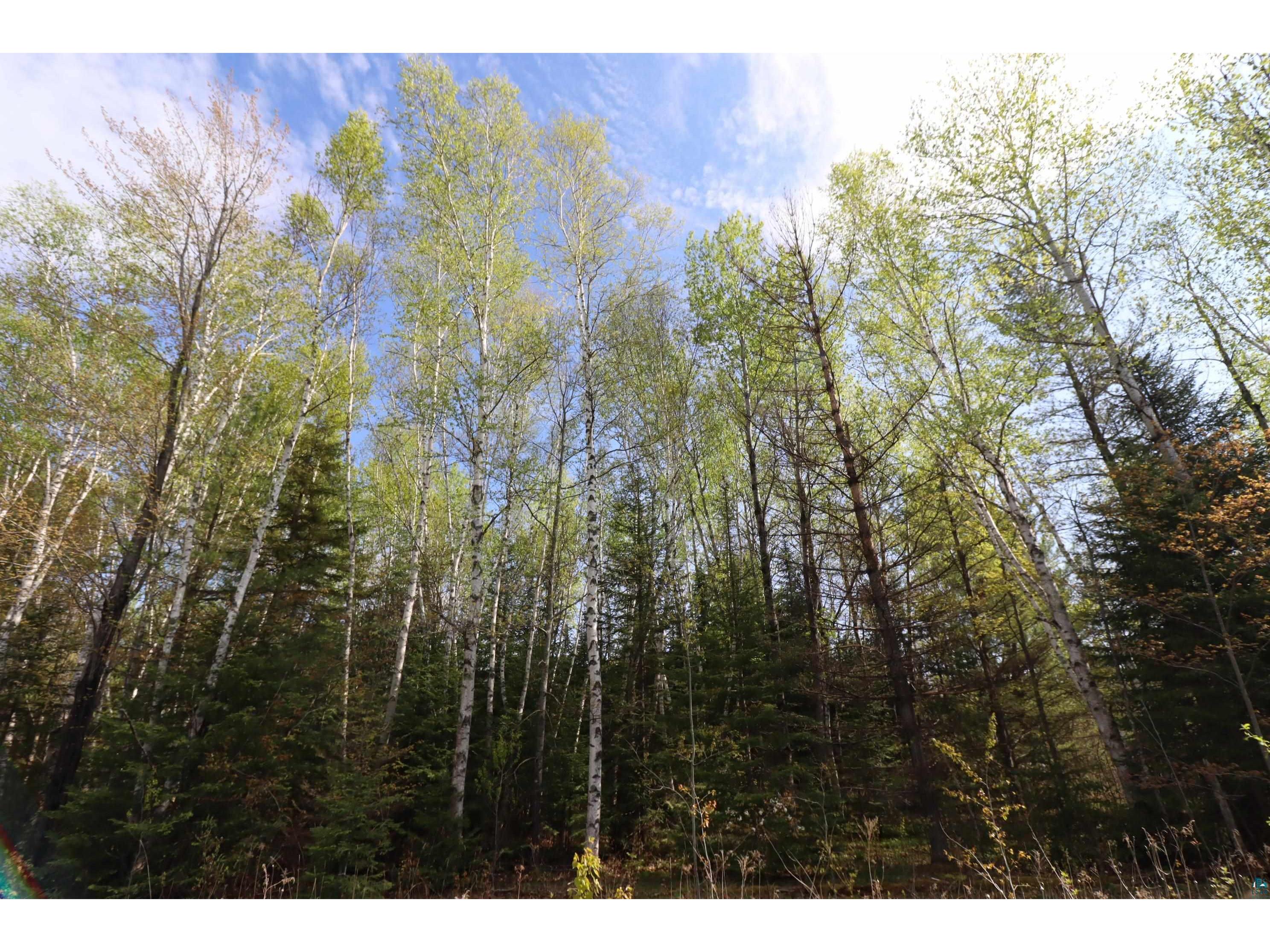 32XXX Star Route Rd Bayfield WI 54814 6113743 image1