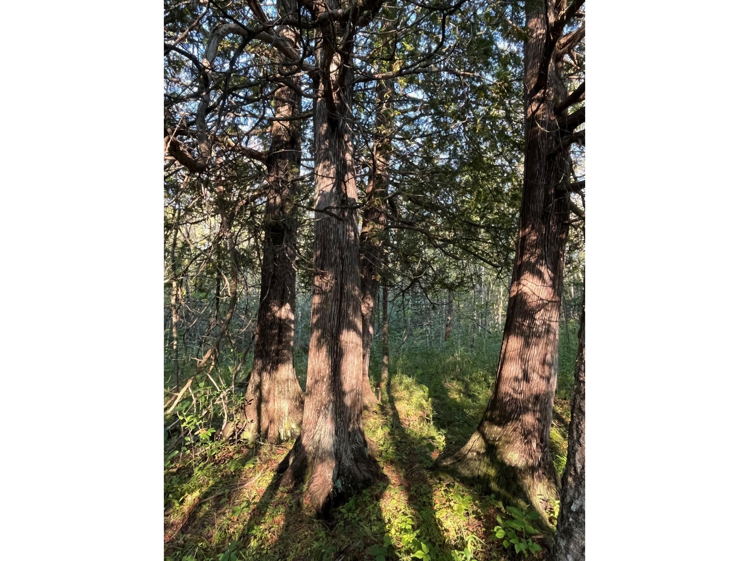 32xx Zimmerman Rd Duluth MN 55804 6122017 image1