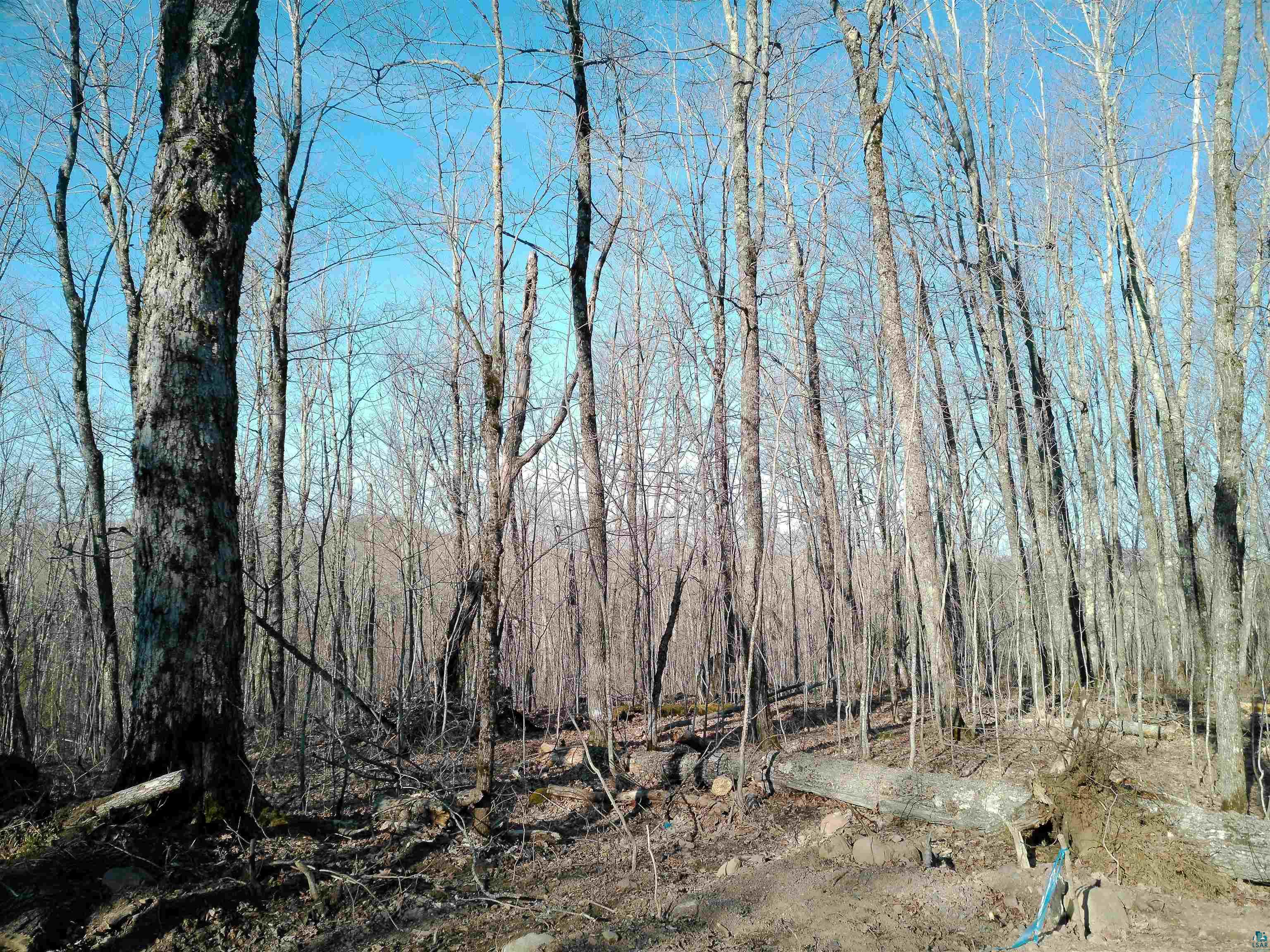 33 Hillside Dr Lutsen MN 55612 6124429 image1