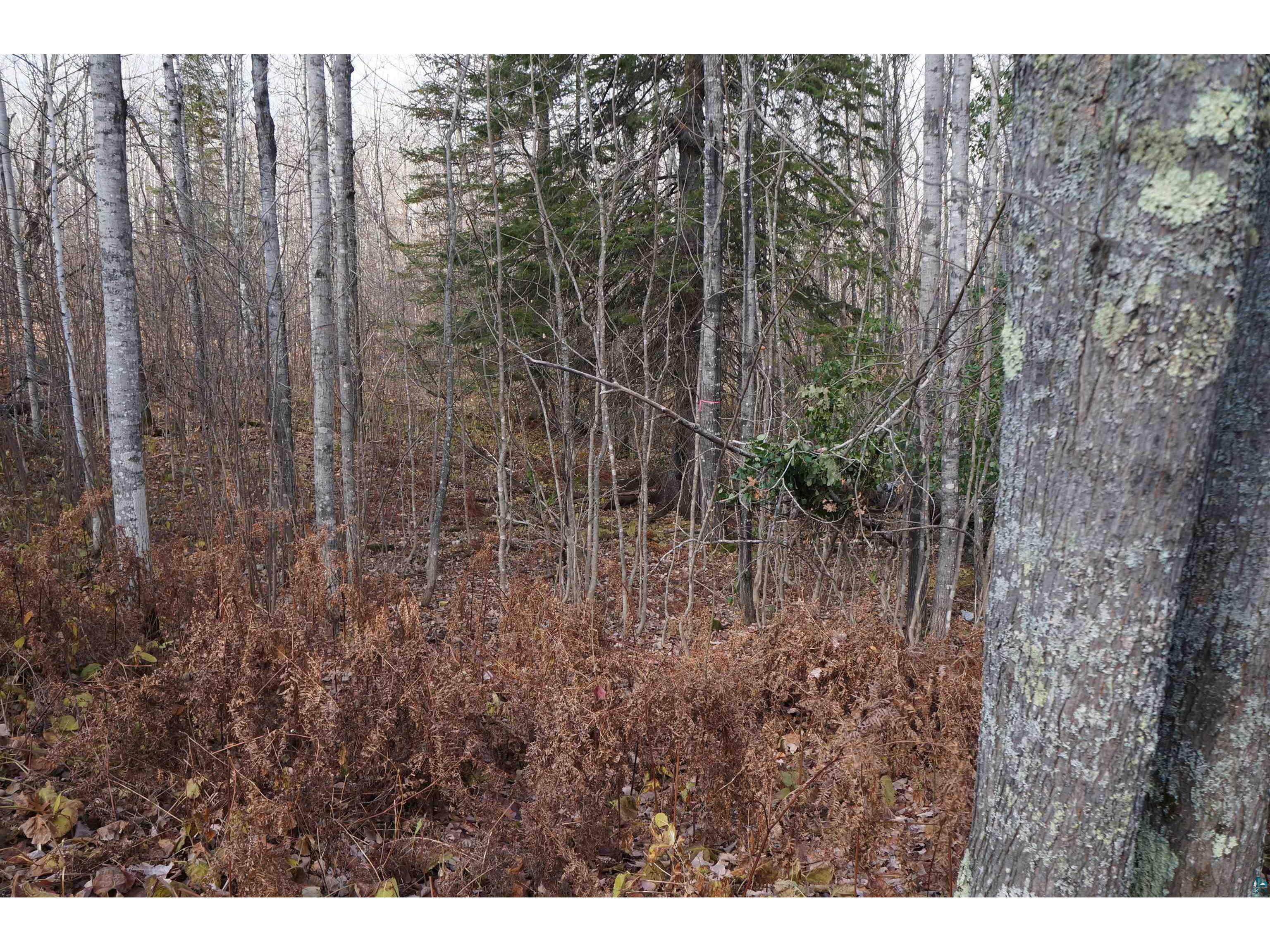 335x Strand Rd, Duluth, MN 55803 MLS 6106256 Edina Realty