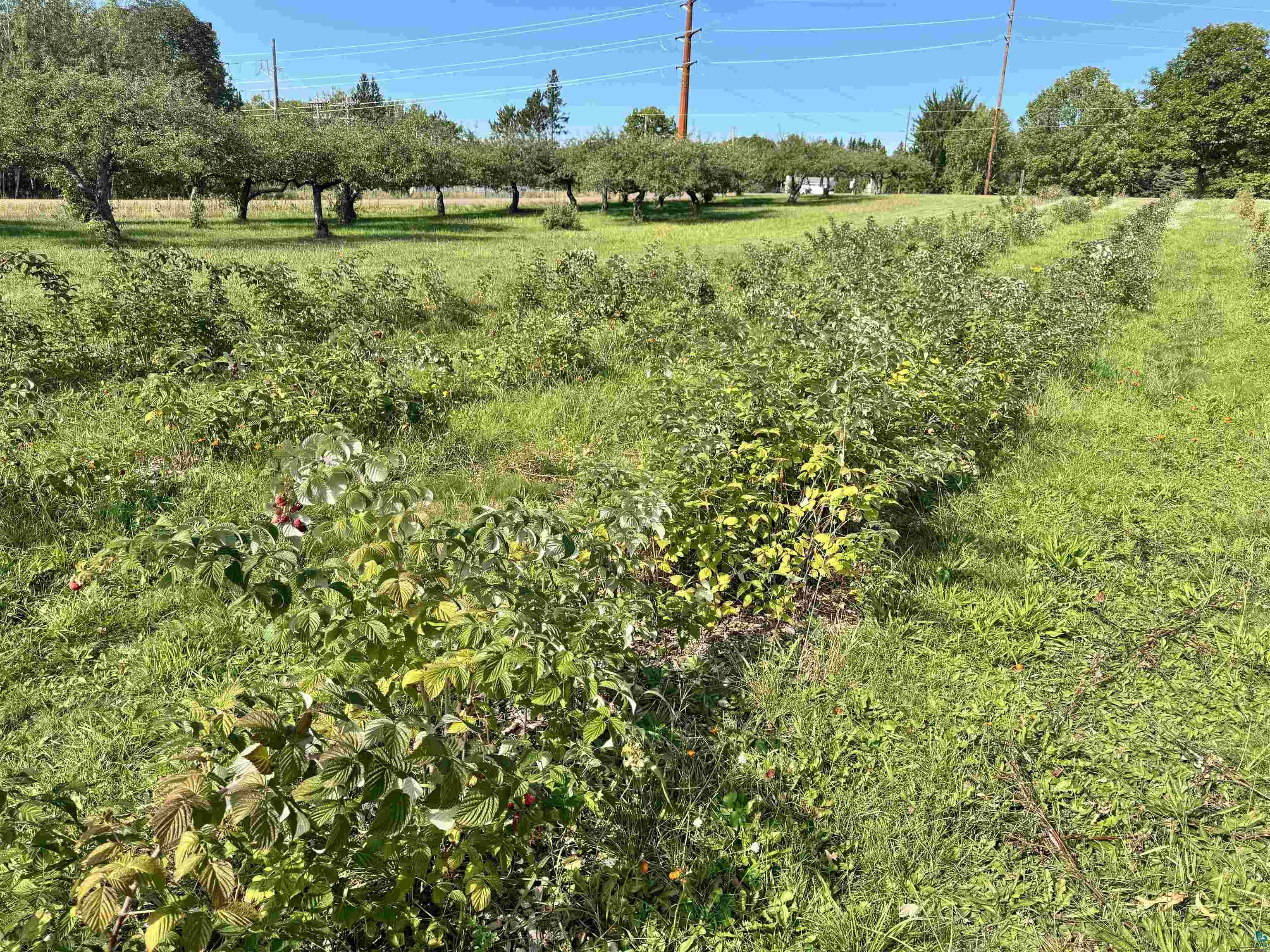 34045 S County Hwy J Bayfield WI 54814 6125018 image11