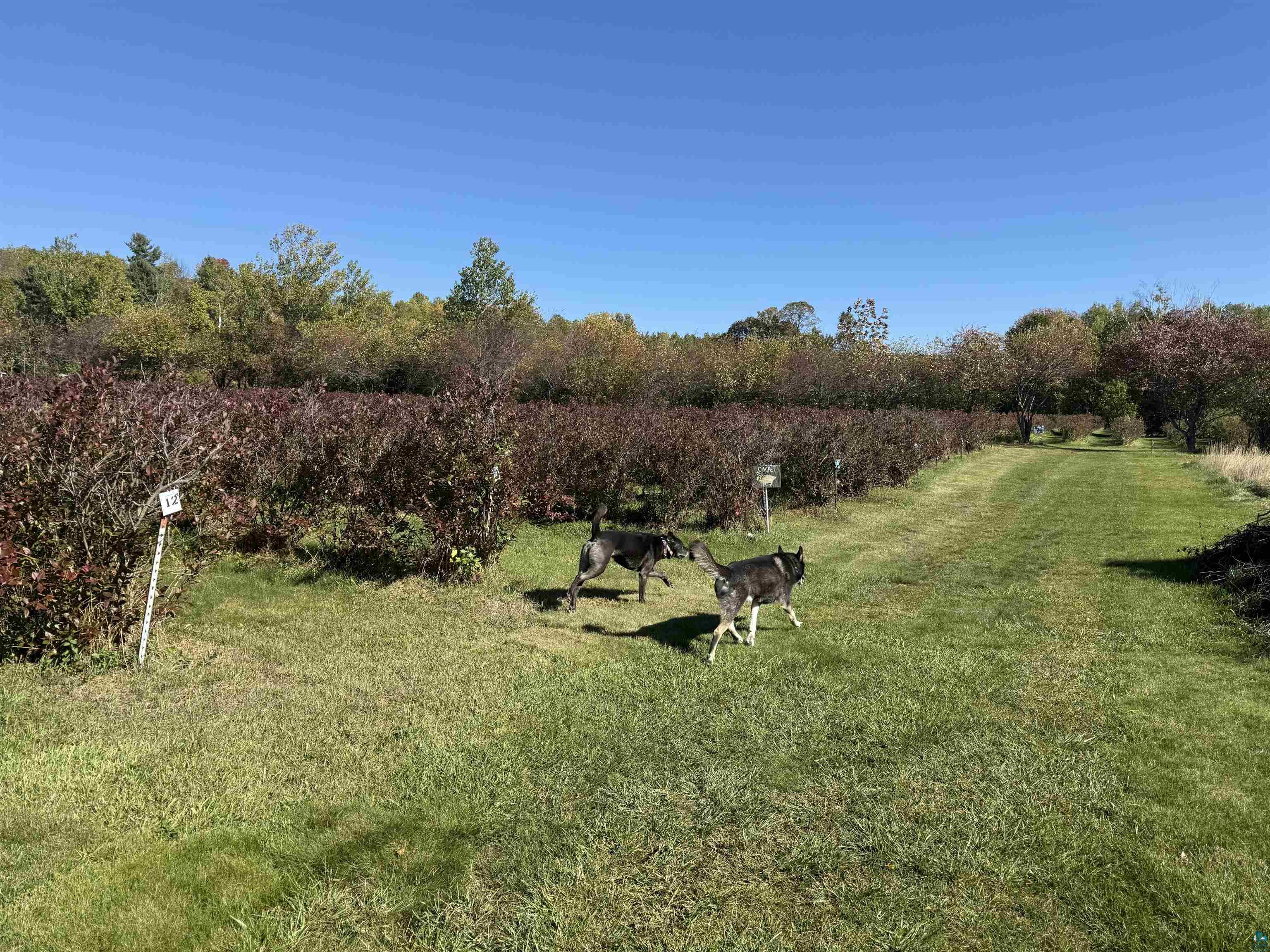 34045 S County Hwy J Bayfield WI 54814 6125018 image48