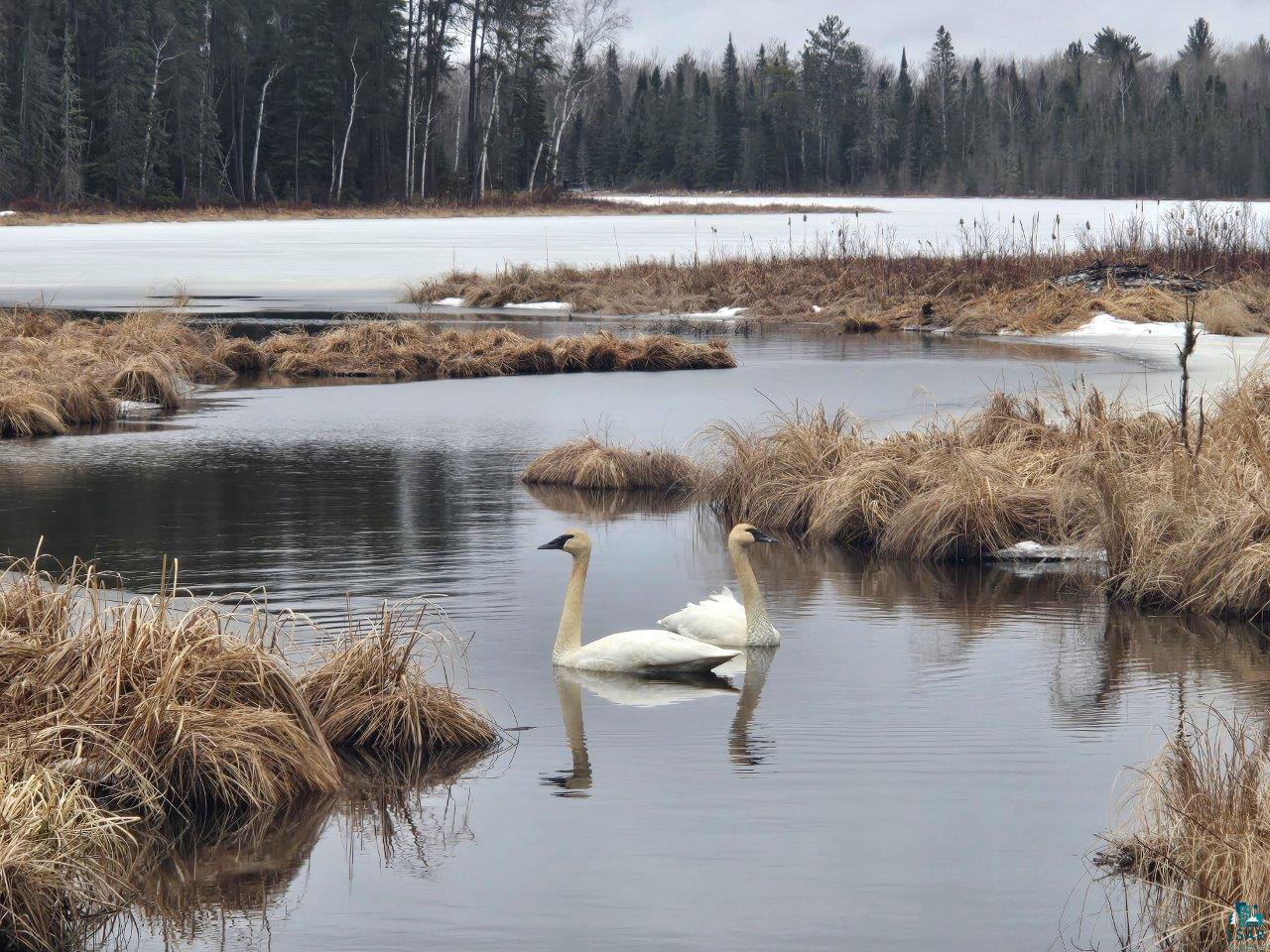 3420 Dewees Road Babbitt MN 55706 - Isaac 6120586 image47