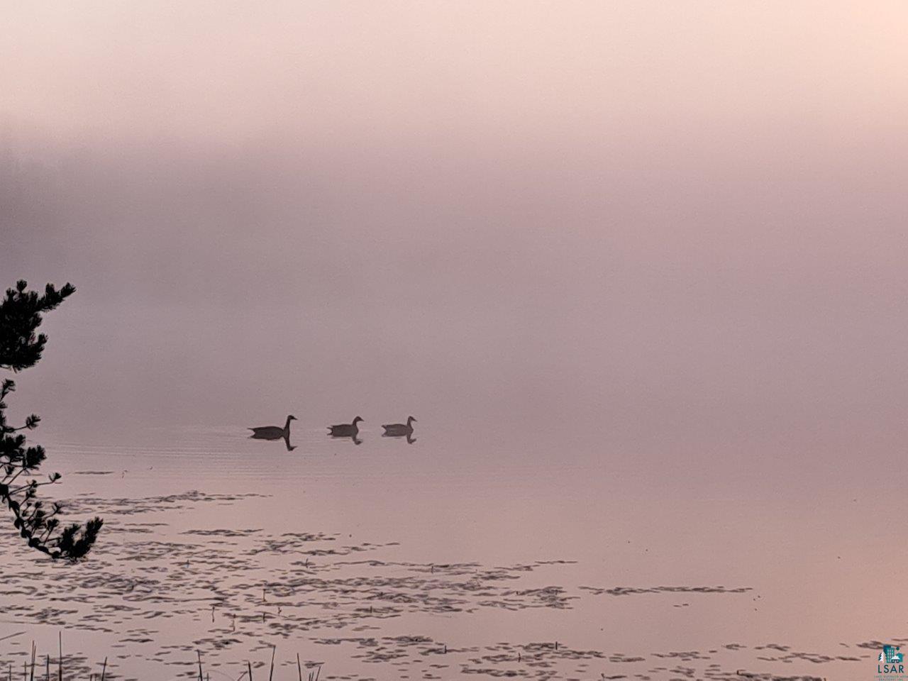 3420 Dewees Road Babbitt MN 55706 - Isaac 6120586 image49