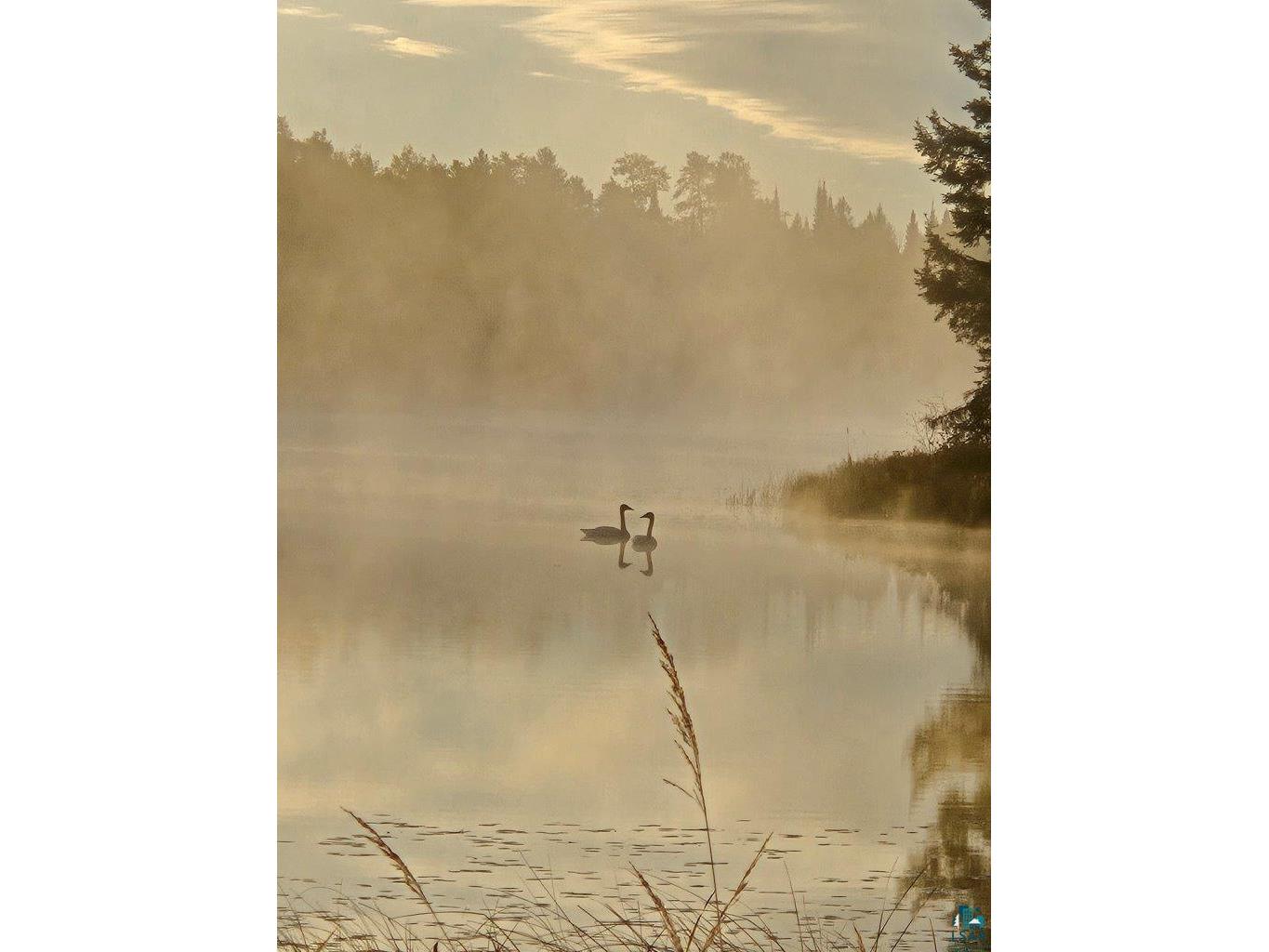 3420 Dewees Road Babbitt MN 55706 - Isaac 6120586 image50