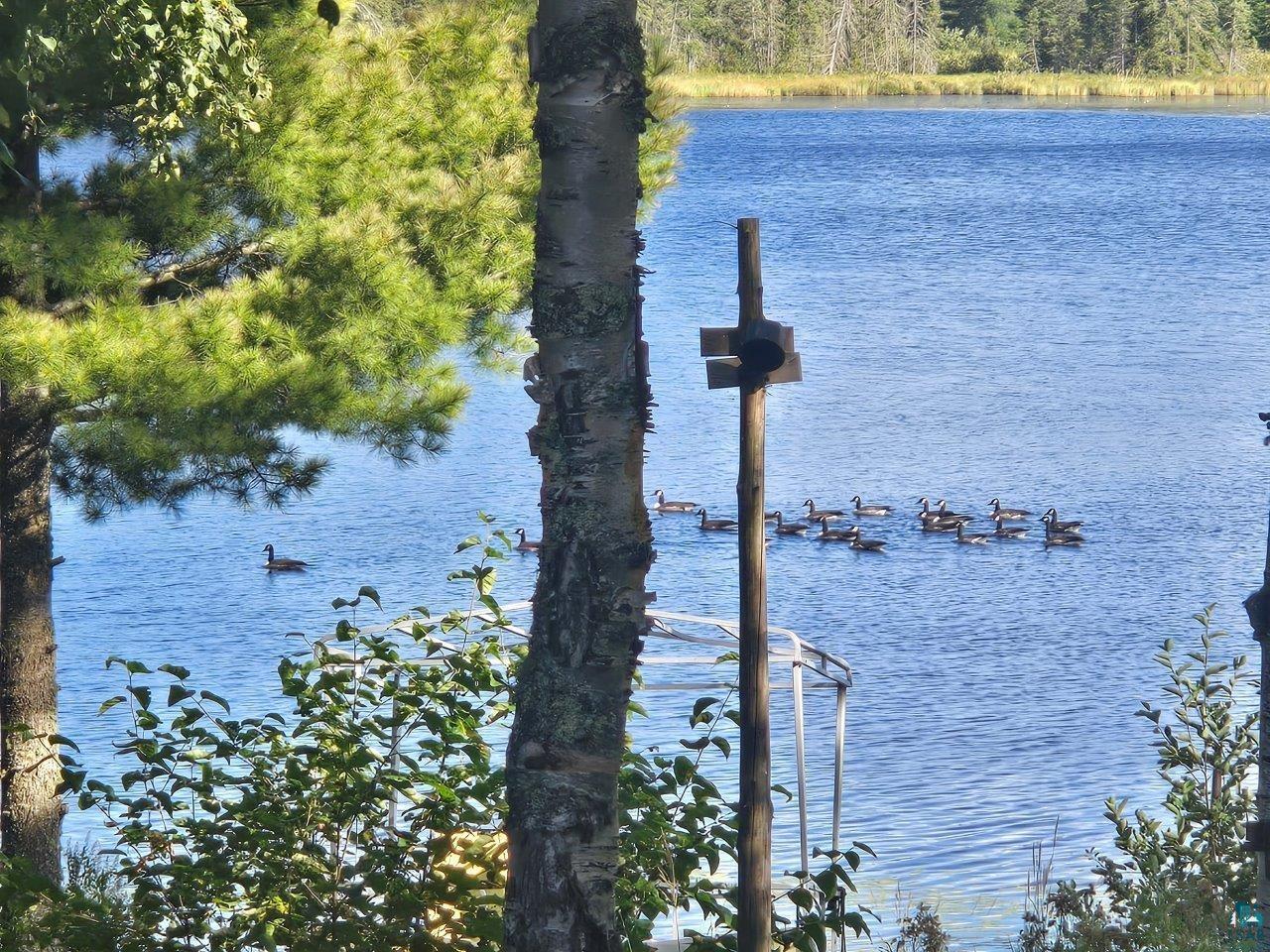 3420 Dewees Road Babbitt MN 55706 - Isaac 6120586 image8