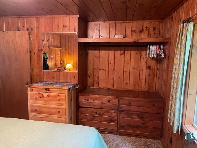 3451 Jackpine Ln Ely MN 55731 - Snowbank 6120920 image7