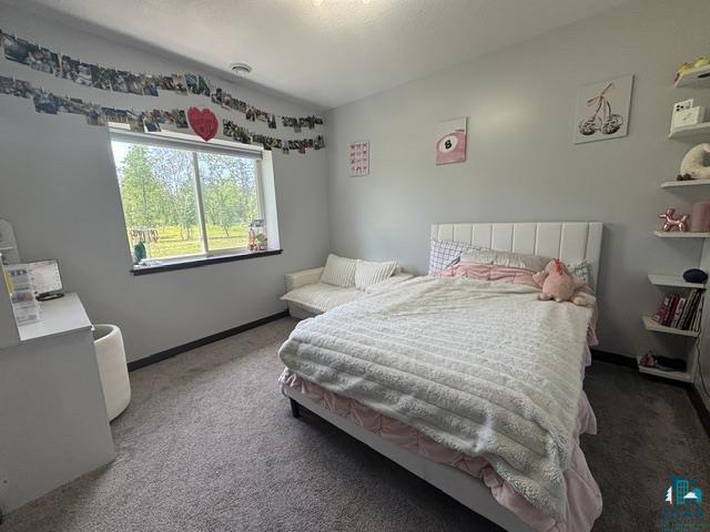 3454 Anderson Rd Hibbing MN 55746 6126021 image12