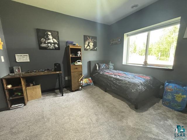 3454 Anderson Rd Hibbing MN 55746 6126021 image15