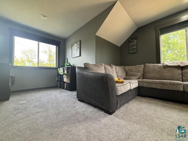 3454 Anderson Rd Hibbing MN 55746 6126021 image23