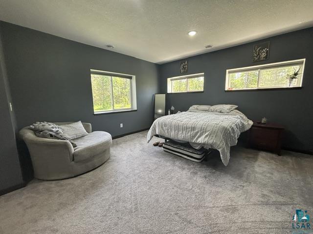 3454 Anderson Rd Hibbing MN 55746 6126021 image6