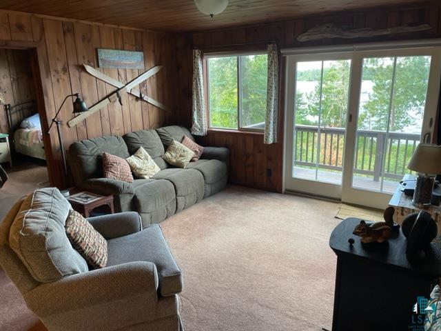 3459 Jackpine Ln Ely MN 55731 - Snowbank 6124883 image15