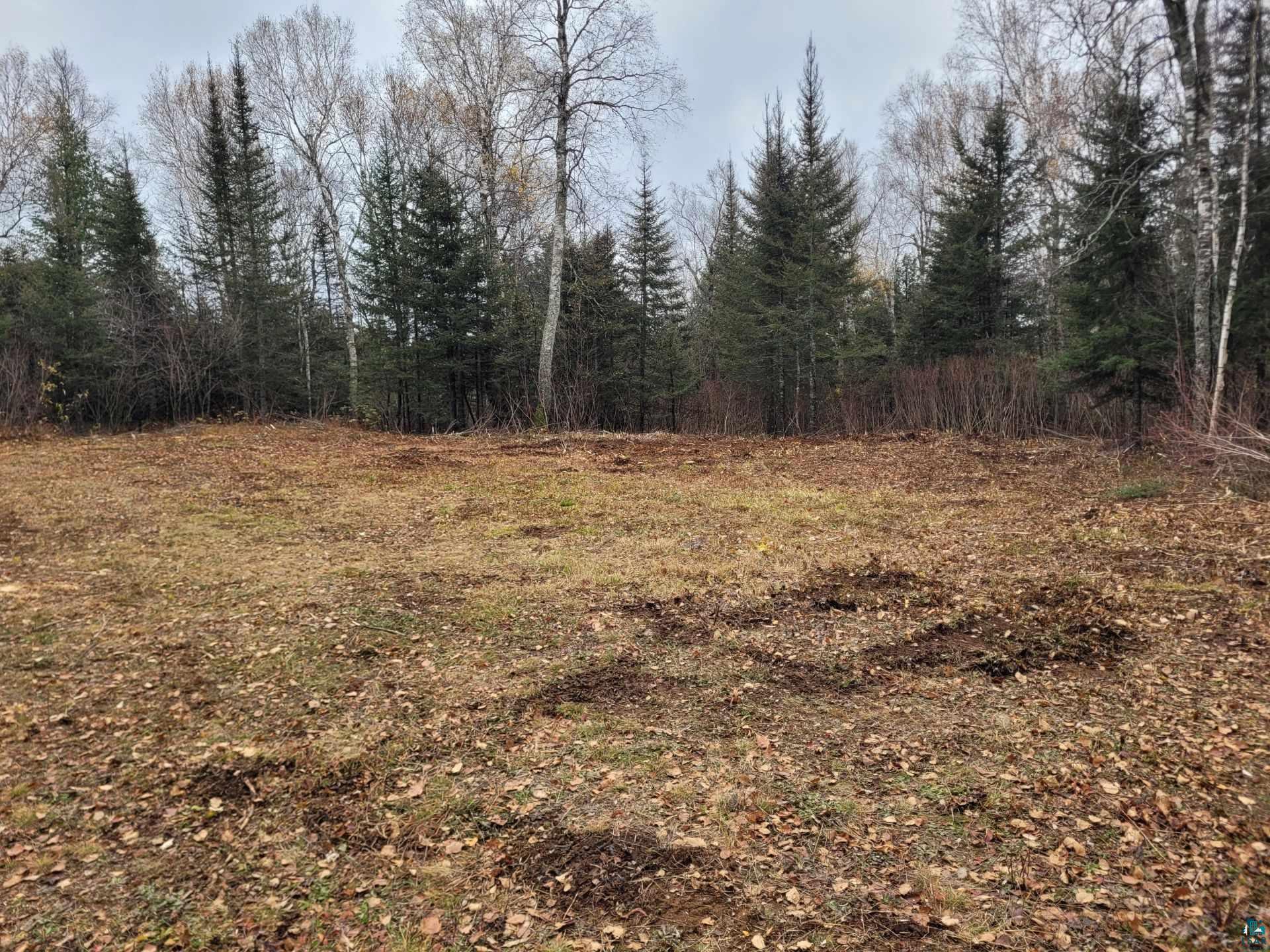 3475 Whyte Rd Finland MN 55603 6111732 image1