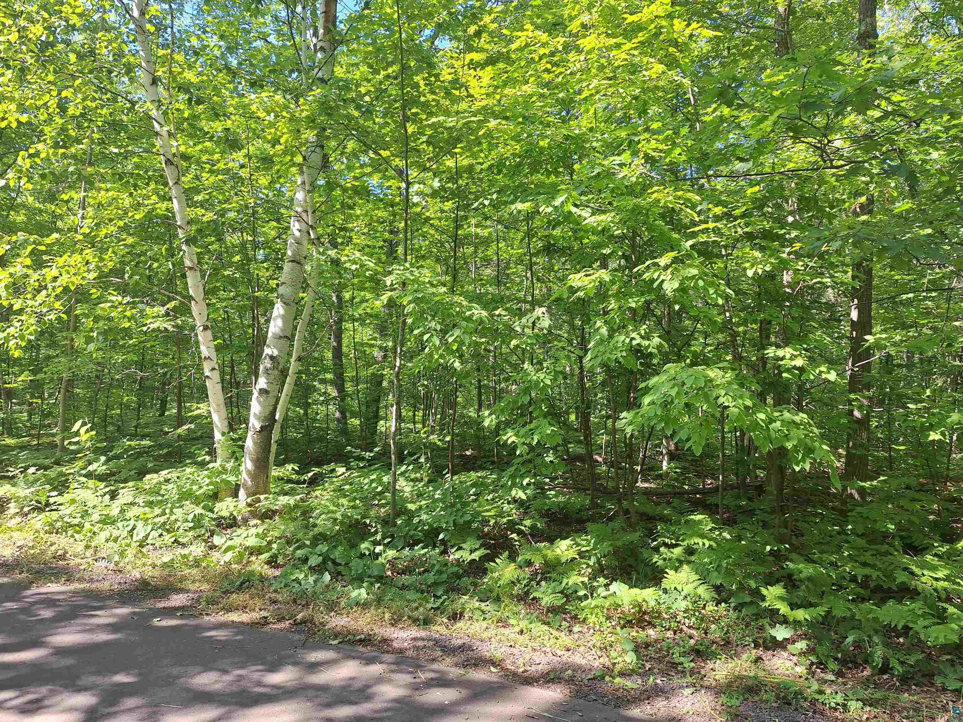 34XXX Bear Paw Tr Bayfield WI 54814 6113492 image1