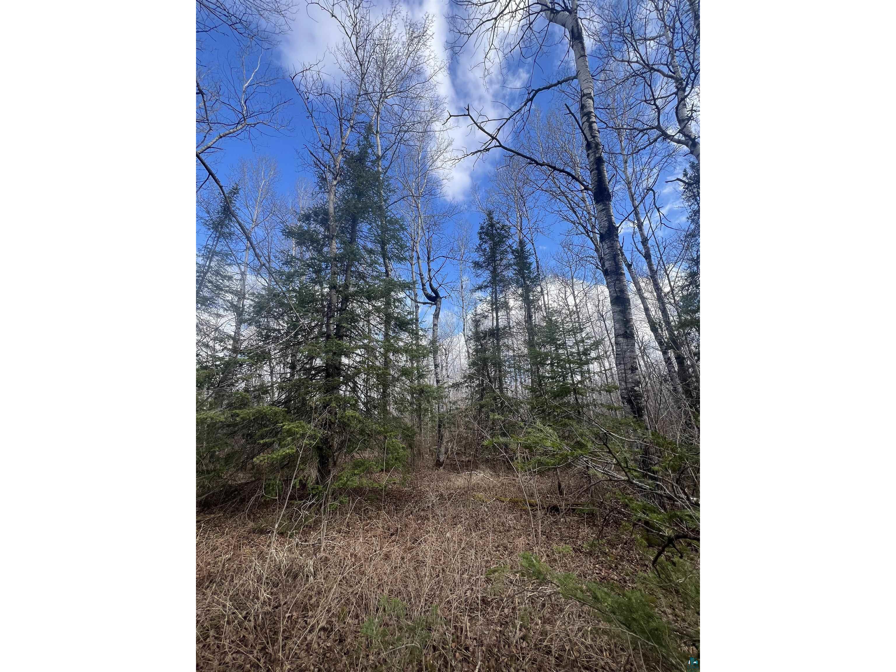 3520 Hwy 3 Two Harbors MN 55616 - Dago 6124955 image1