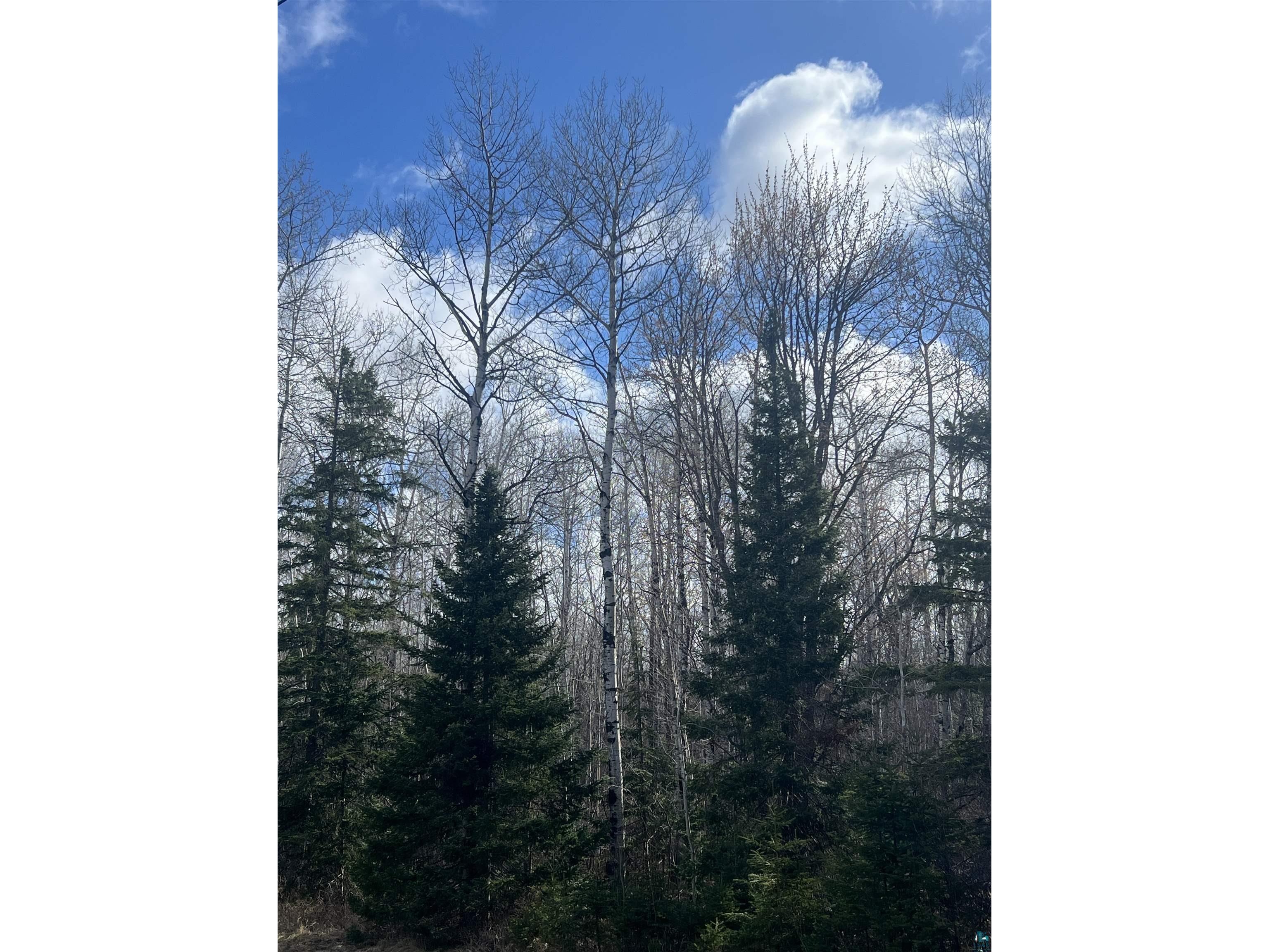 3520 Hwy 3 Two Harbors MN 55616 - Dago 6124955 image2