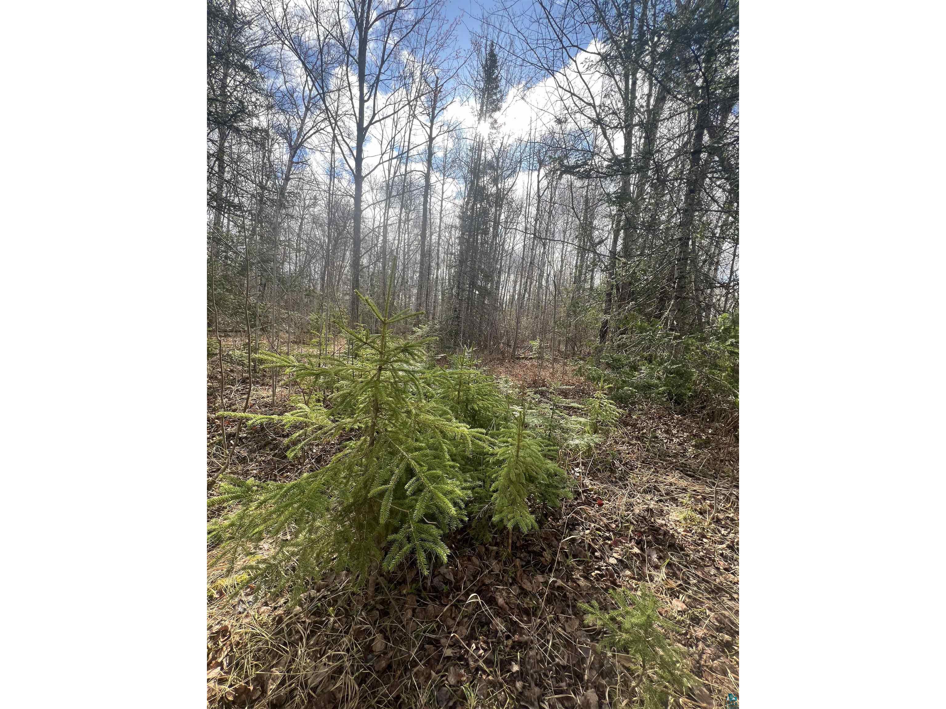 3520 Hwy 3 Two Harbors MN 55616 - Dago 6124955 image5