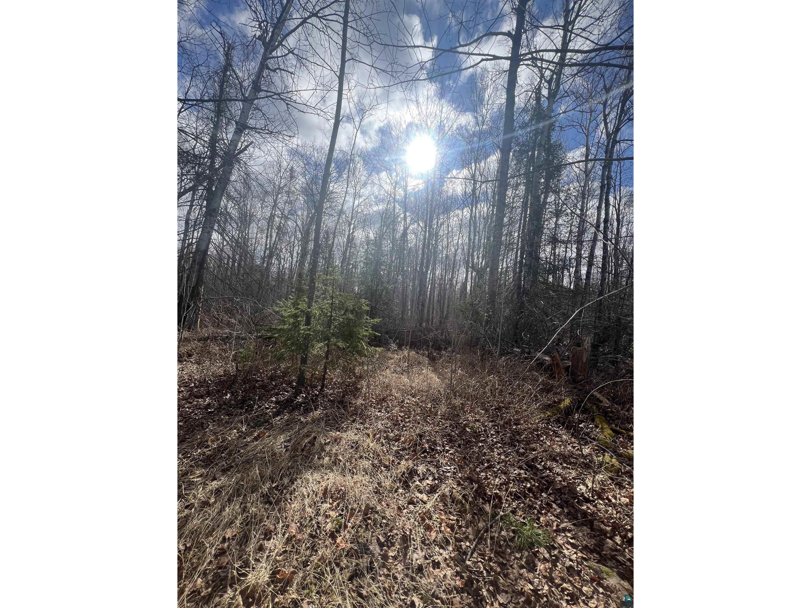 3520 Hwy 3 Two Harbors MN 55616 - Dago 6124955 image6