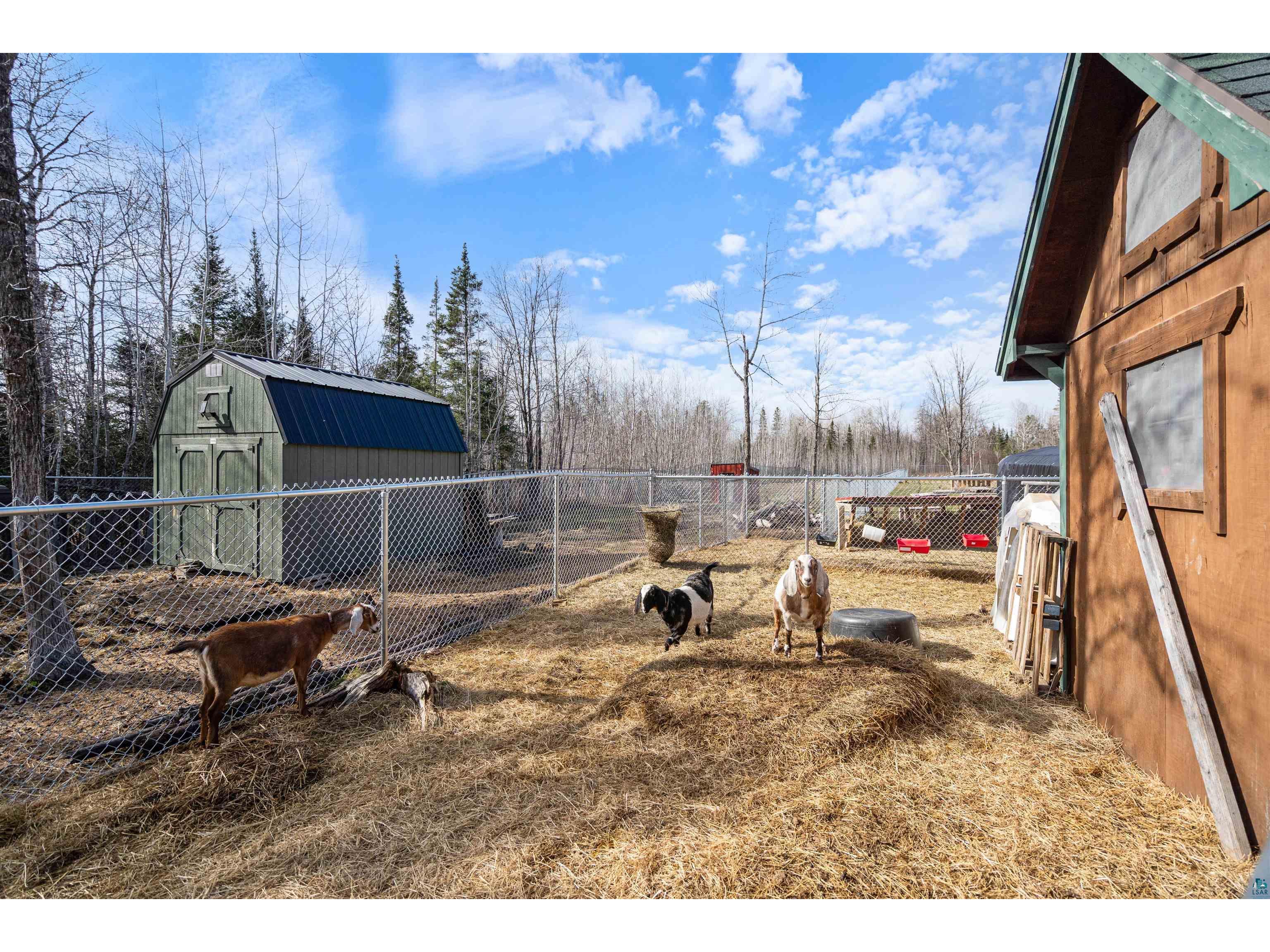 3521 S Fire Tr Eveleth MN 55734 6124808 image46