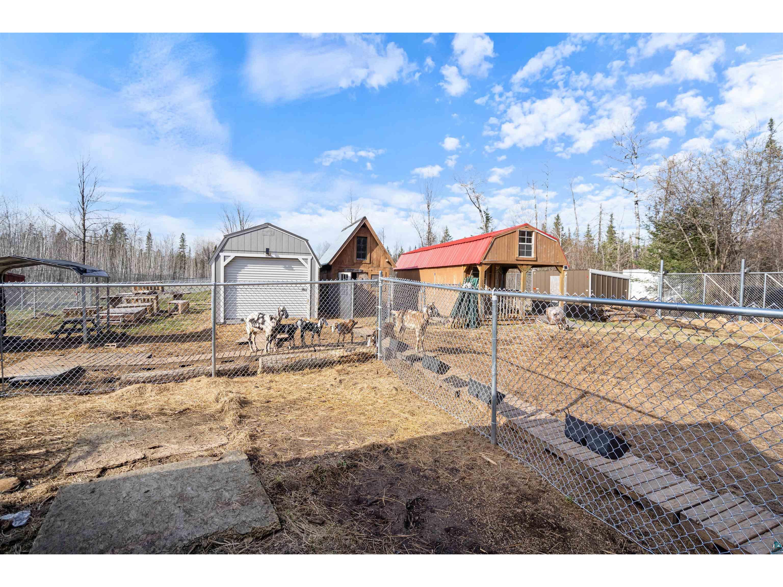 3521 S Fire Tr Eveleth MN 55734 6124808 image47