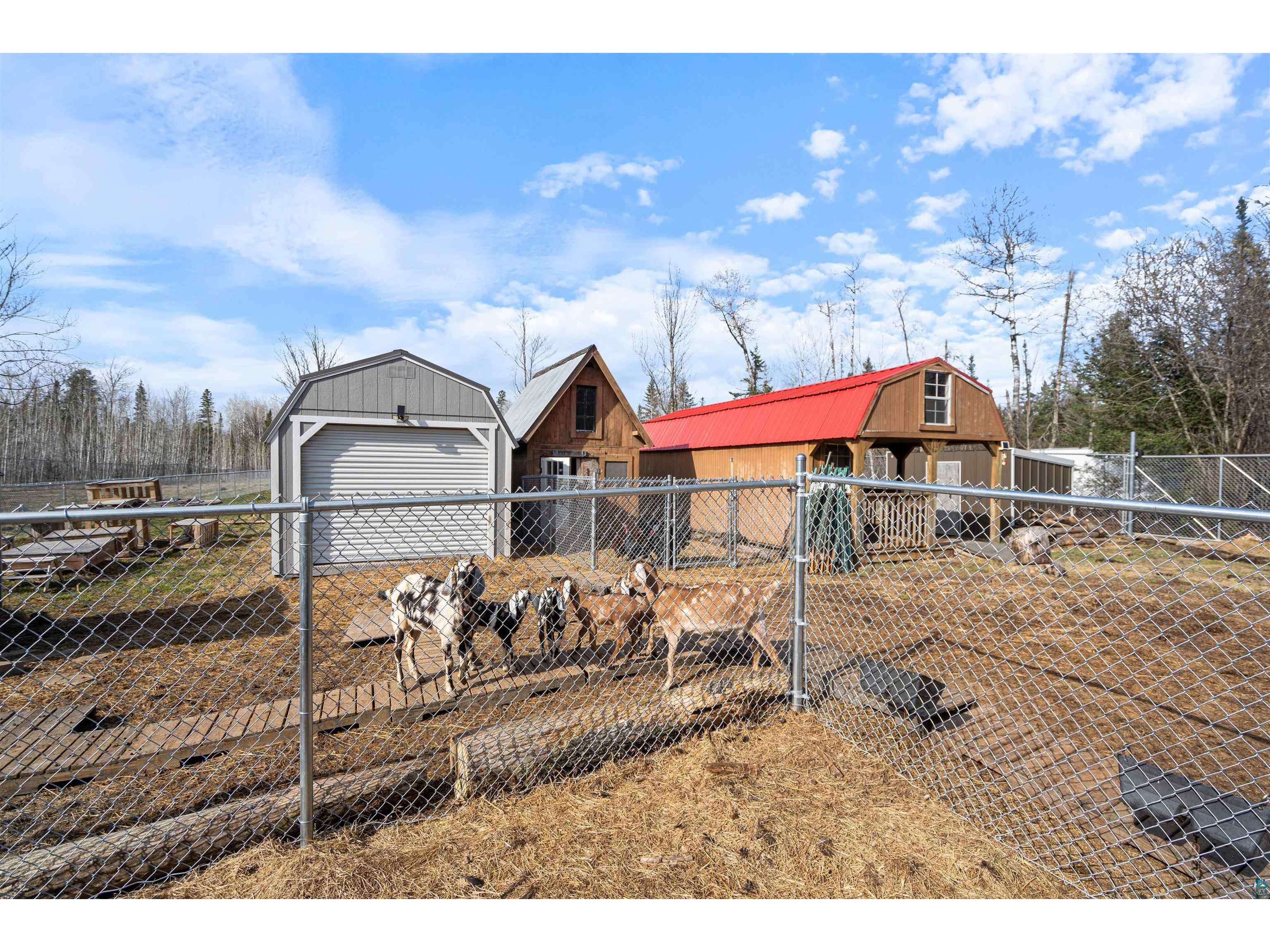 3521 S Fire Tr Eveleth MN 55734 6124808 image48