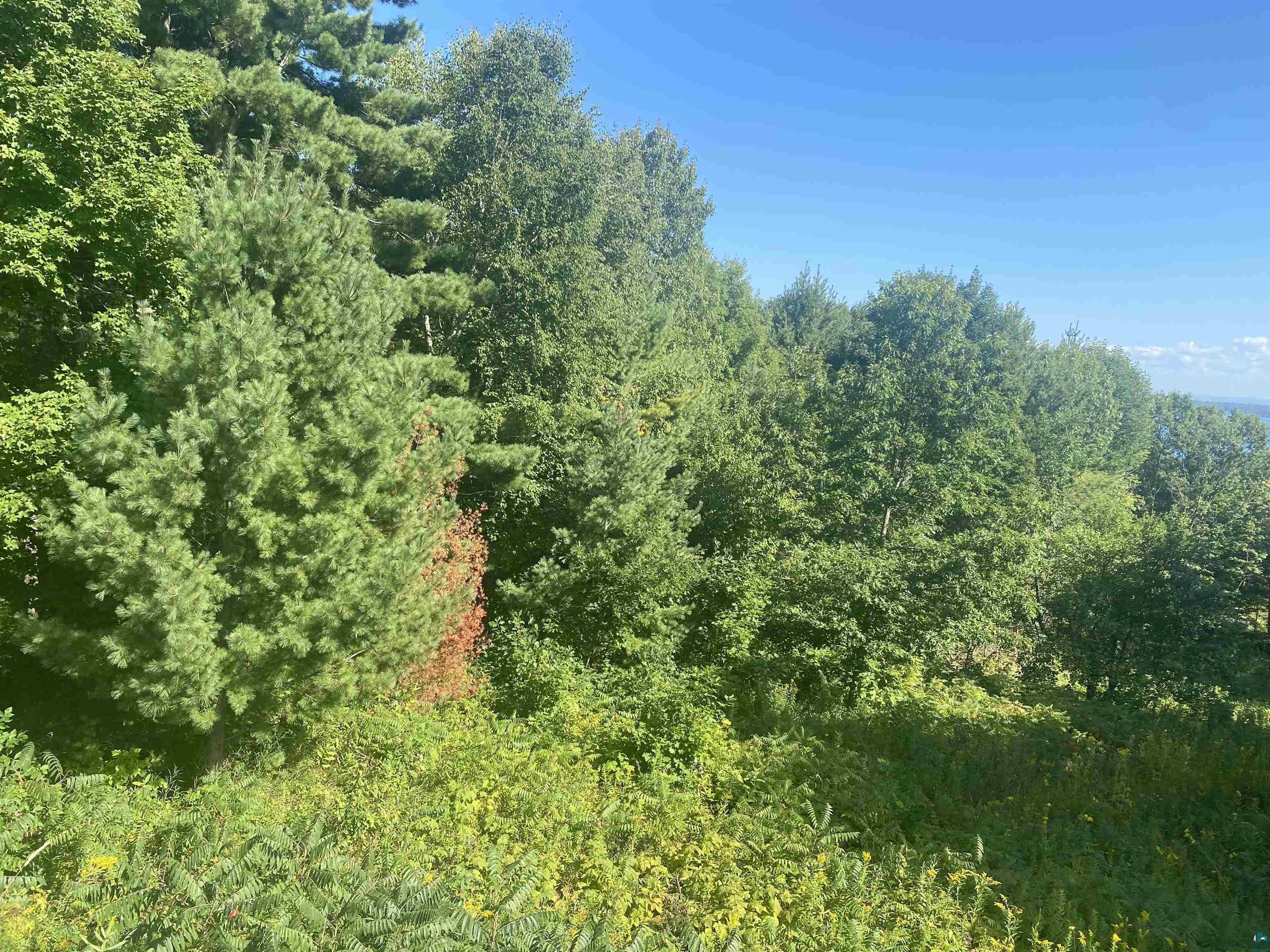 35365 Old Orchard Ln Bayfield WI 54814 6123763 image22