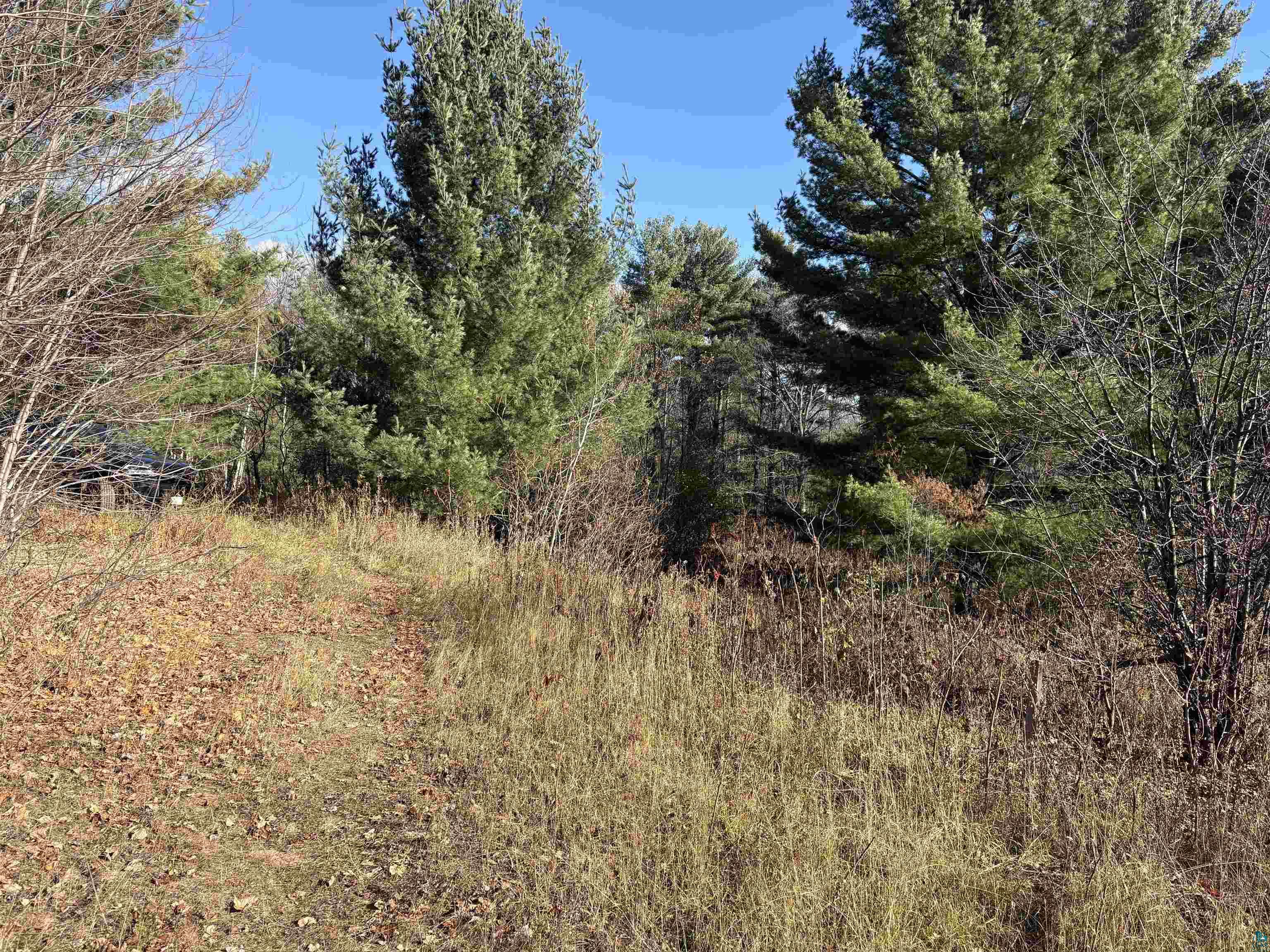 35365 Old Orchard Ln Bayfield WI 54814 6123763 image27