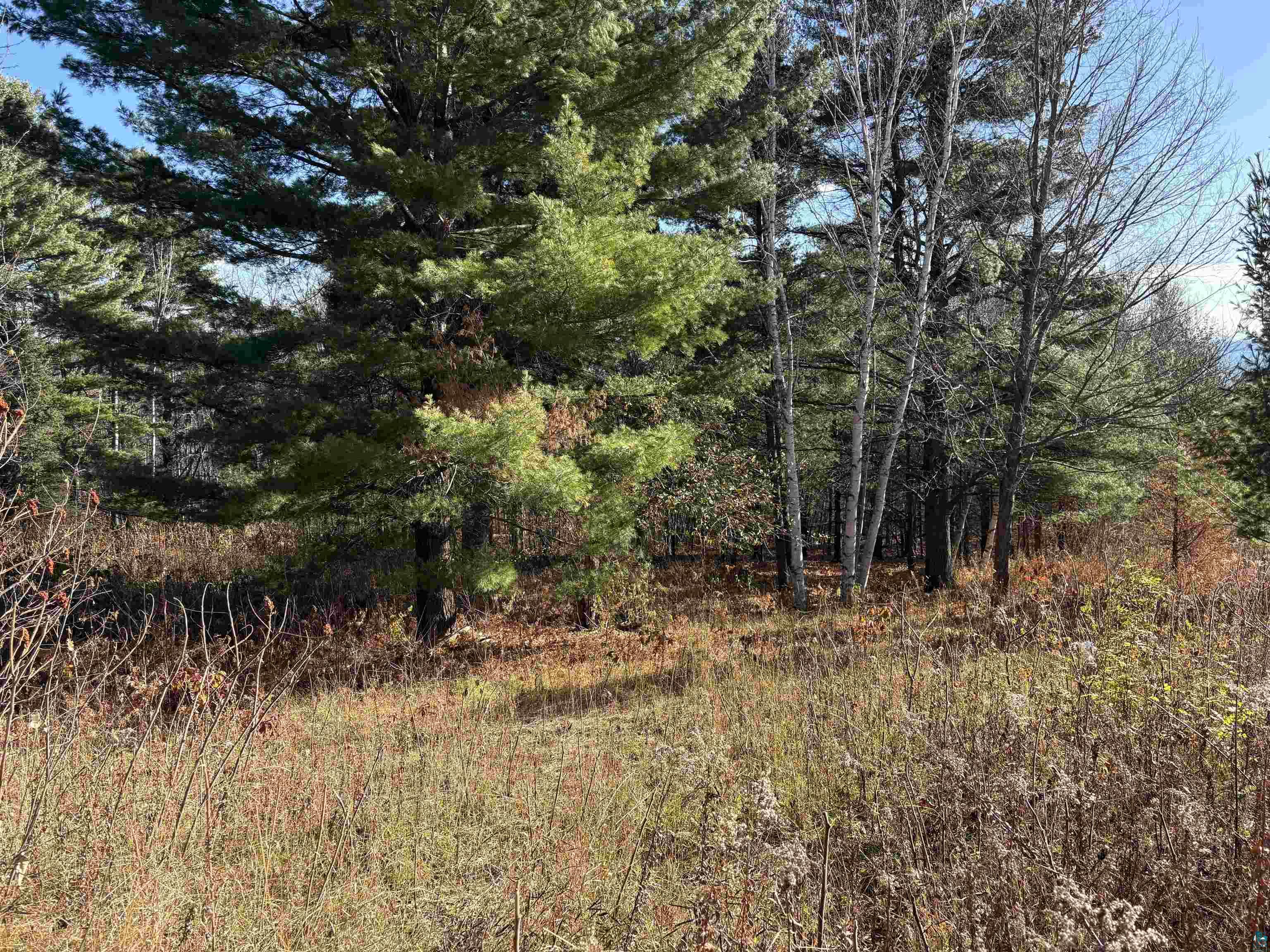 35365 Old Orchard Ln Bayfield WI 54814 6123763 image28