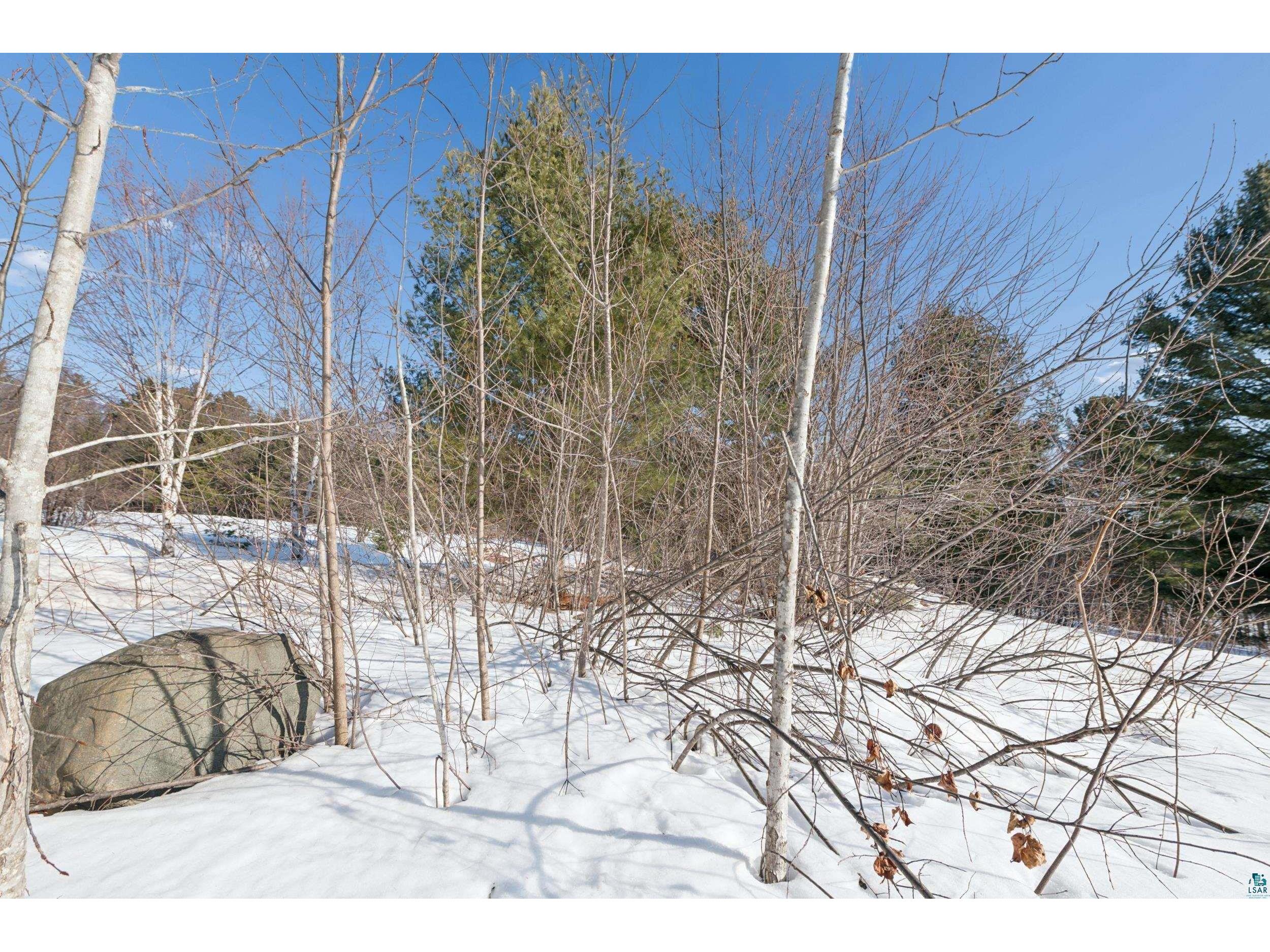 35365 Old Orchard Ln Bayfield WI 54814 6123763 image40