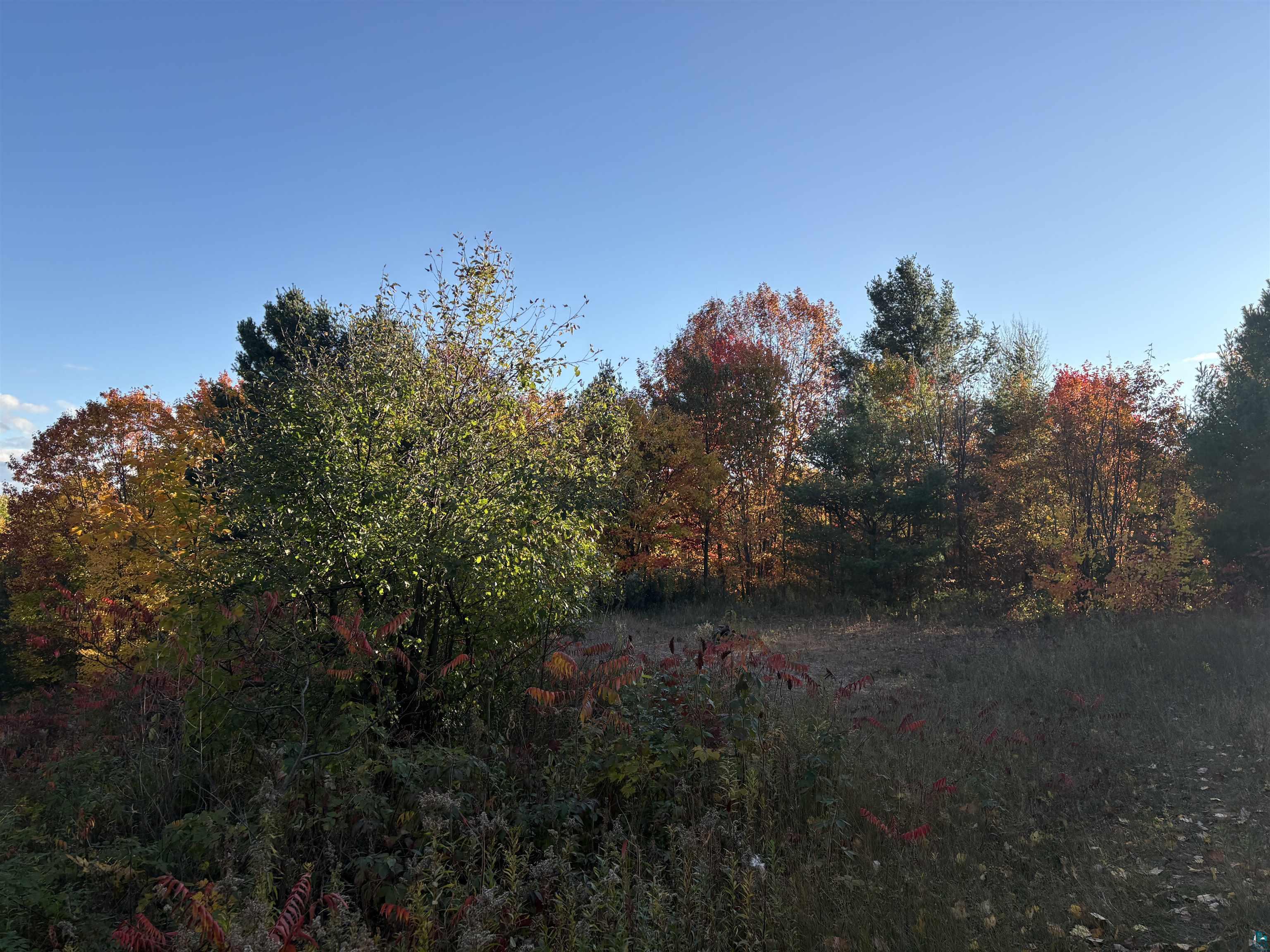 35365 Old Orchard Ln Bayfield WI 54814 6123763 image43