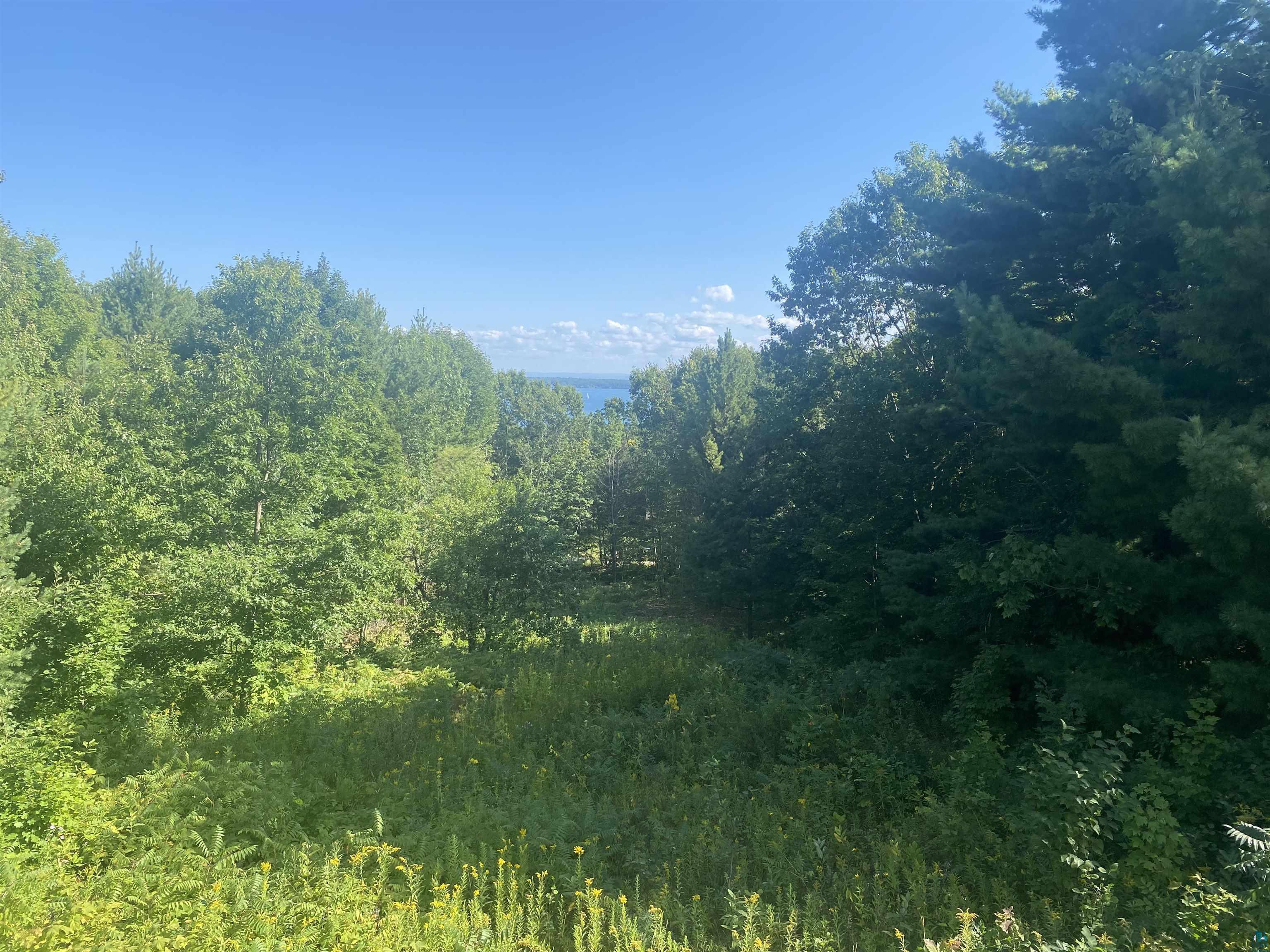 35365 Old Orchard Ln Bayfield WI 54814 6123763 image9