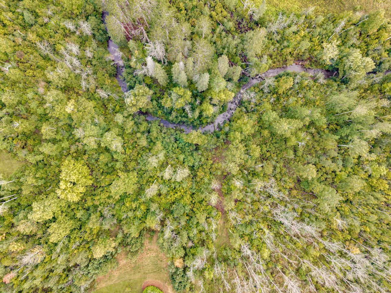 3537 Martin Rd Duluth MN 55803 6121700 image59