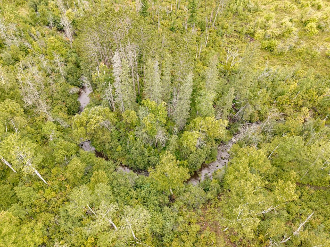 3537 Martin Rd Duluth MN 55803 6121700 image60